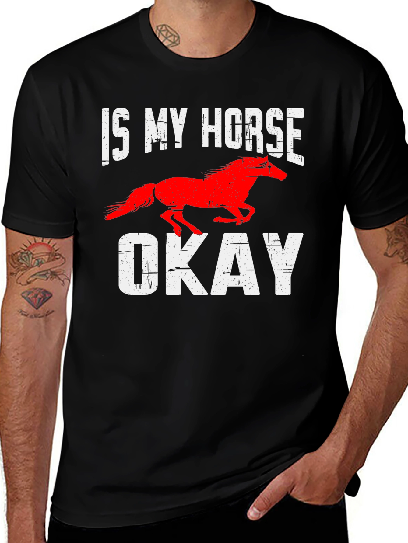 Variant 30 of Is My Horse Okay? Graphic T-Shirt