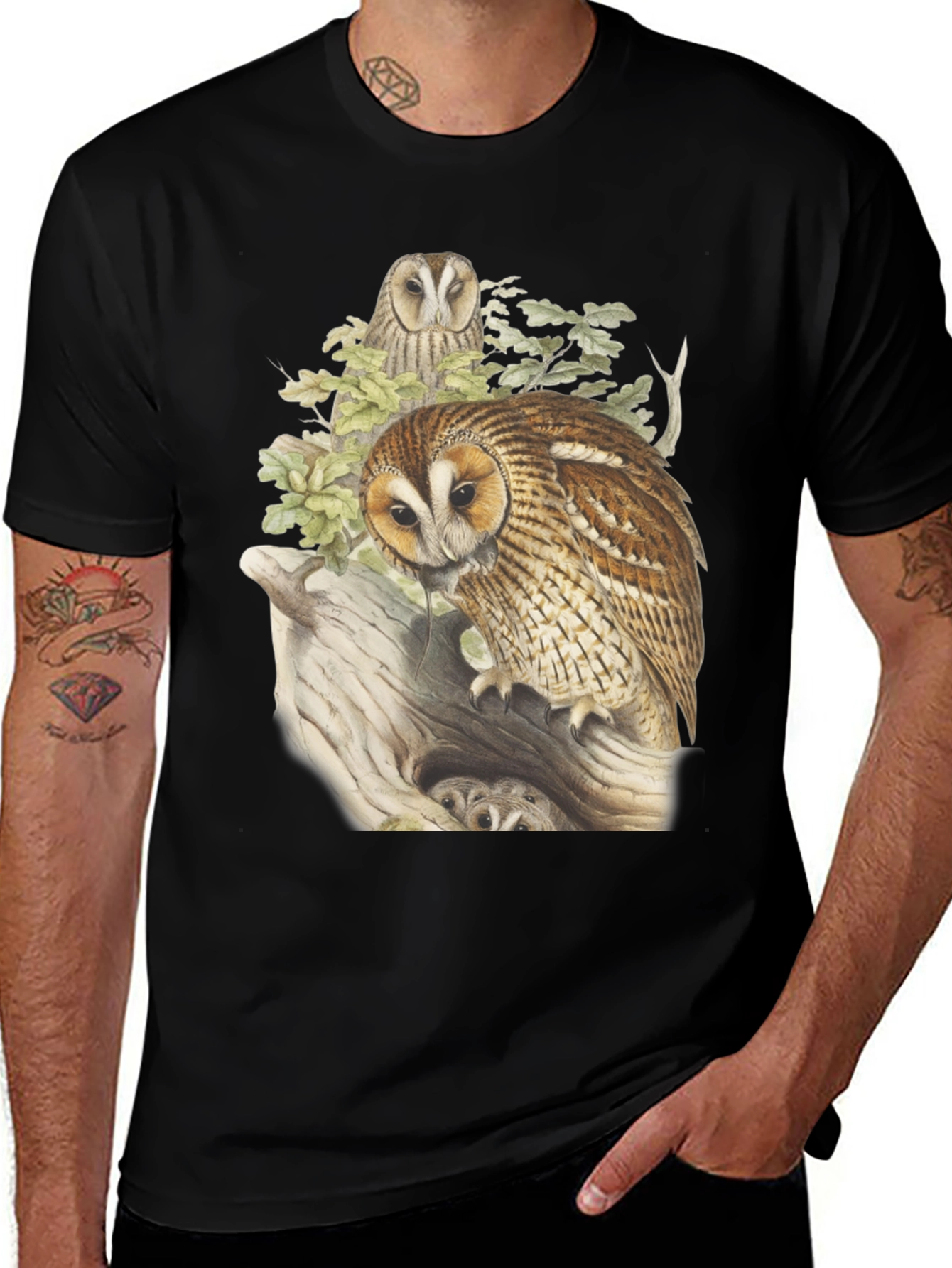 Variant 4 of Owl Graphic Tee - Nature Inspired Design