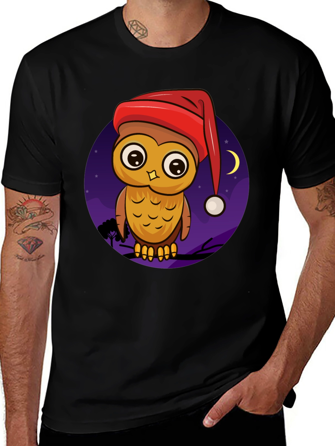 Variant 25 of Owl in Santa Hat Graphic Tee
