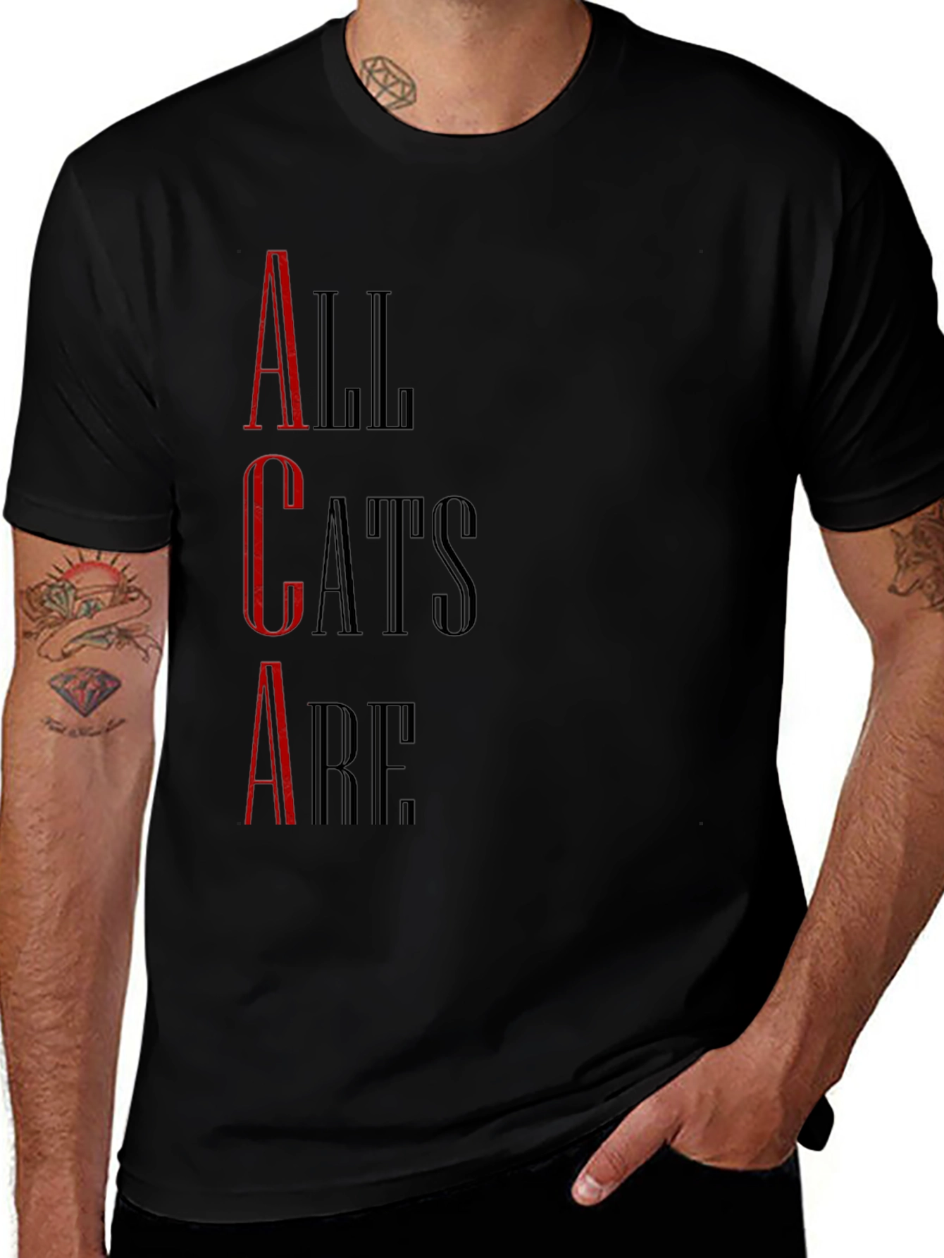 Variant 14 of All Cats Are T-Shirt - Black Graphic Tee
