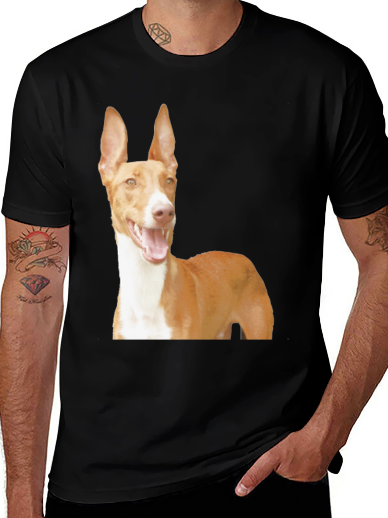 Variant 29 of Dog Breed Graphic Tee - Ibizan Hound on Black Shirt