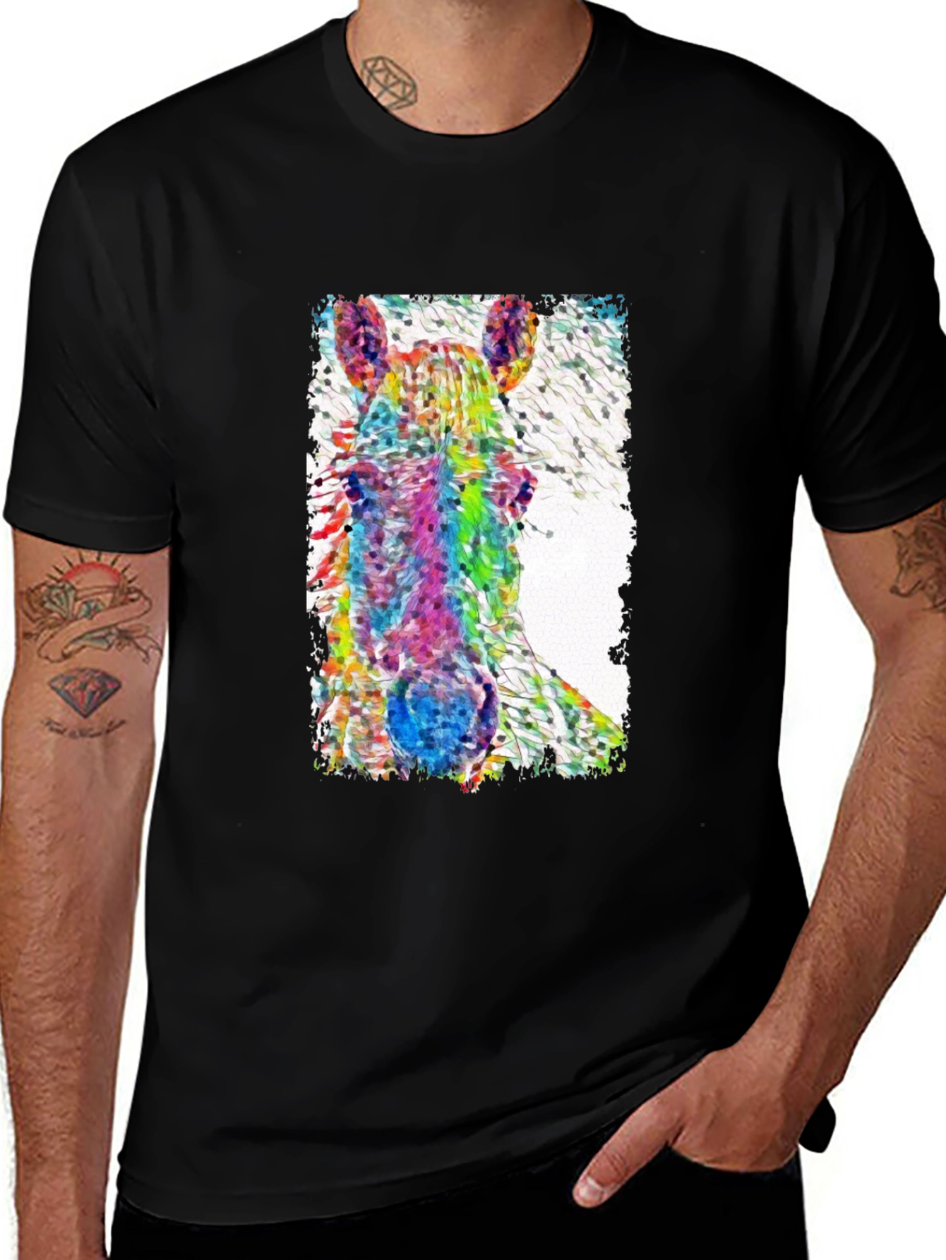 Variant 2 of Rainbow Horse Graphic T-Shirt, Men's Black Tee
