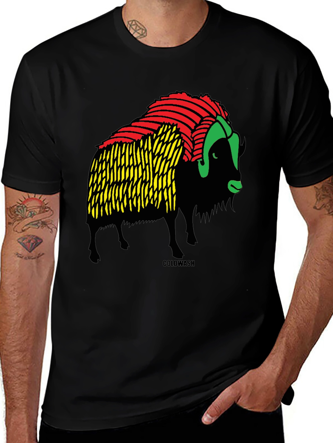 Variant 8 of Rasta Buffalo Graphic Tee - Coolwash