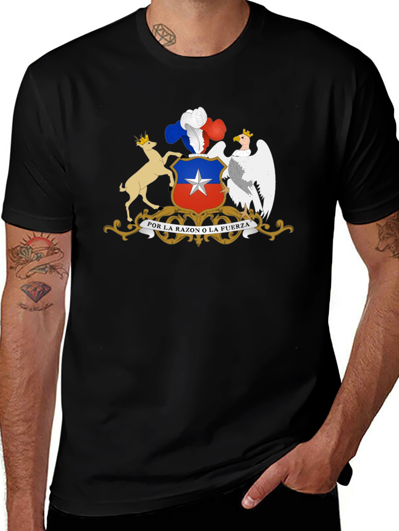 Variant 26 of Chile Coat of Arms Graphic Tee