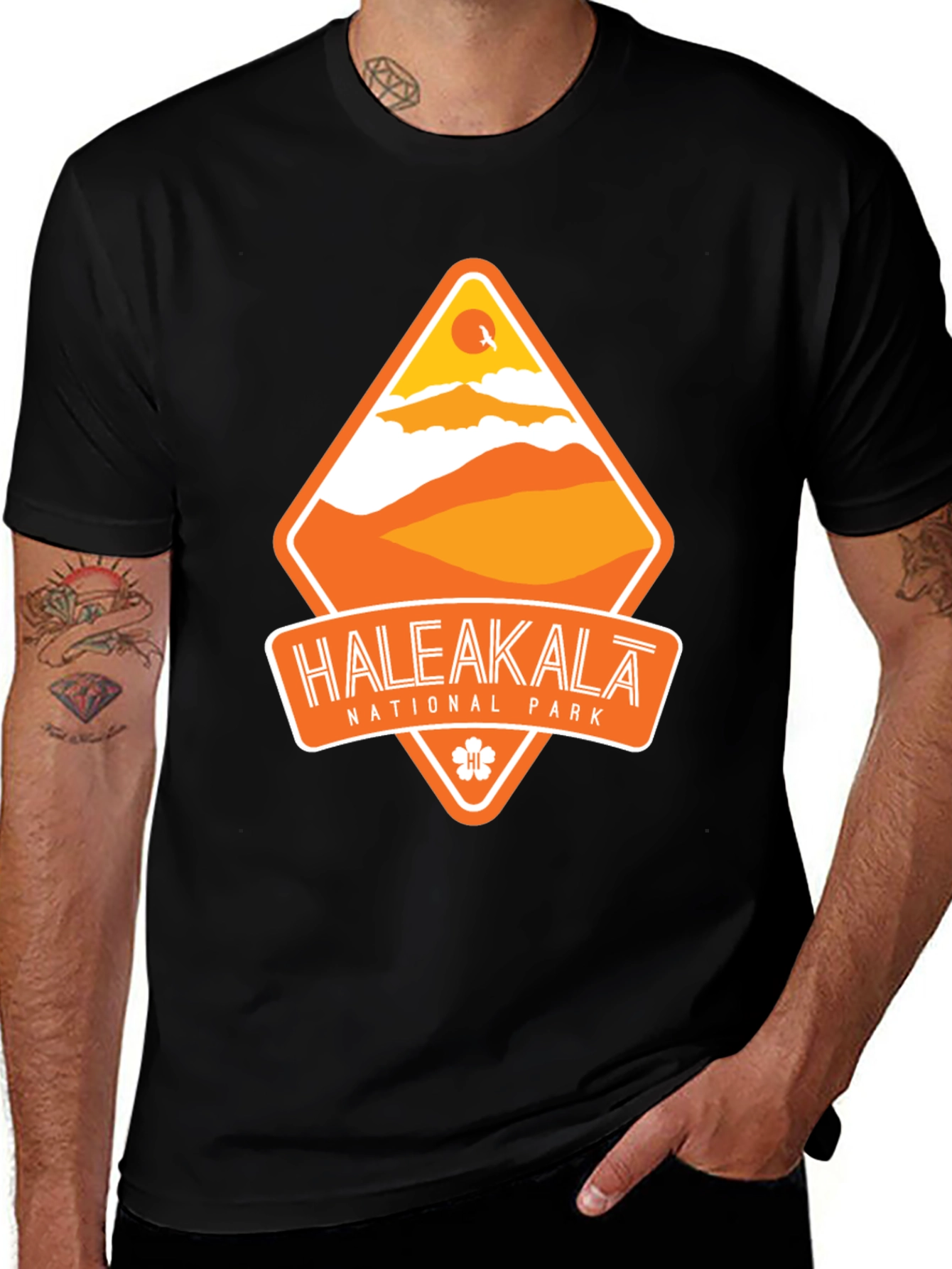 Variant 12 of Haleakala National Park Black T-Shirt