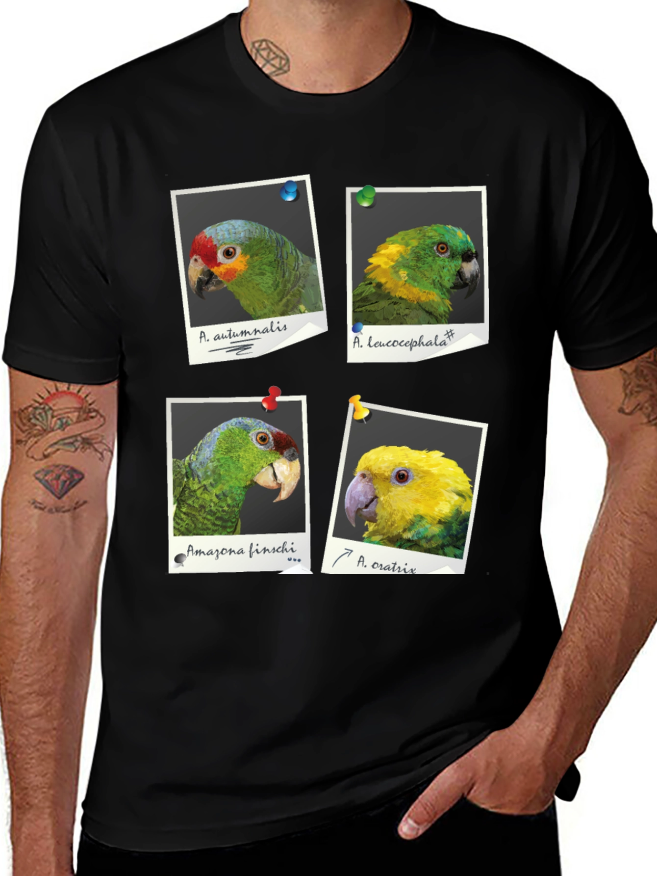 Variant 29 of Parrot Photo T-Shirt - Amazon Species Tee