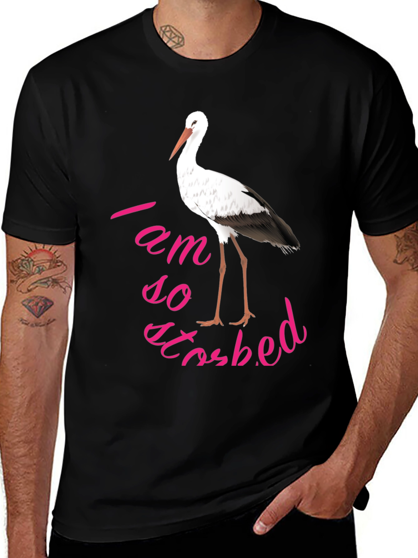 Variant 21 of Stork Bed T-Shirt: I Am So Storbed Text Design