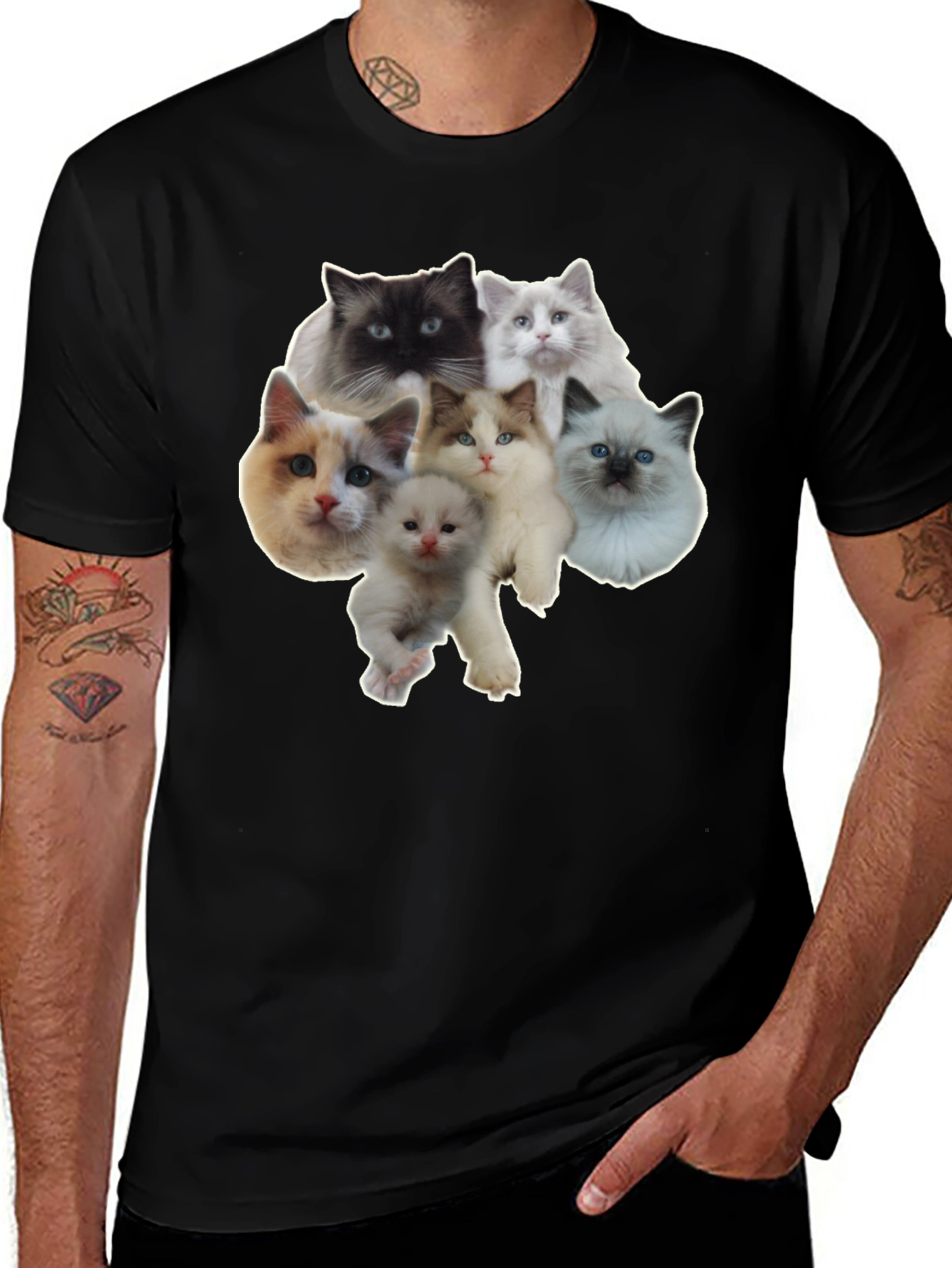 Variant 4 of Cats T-Shirt - Cute Kitten Design