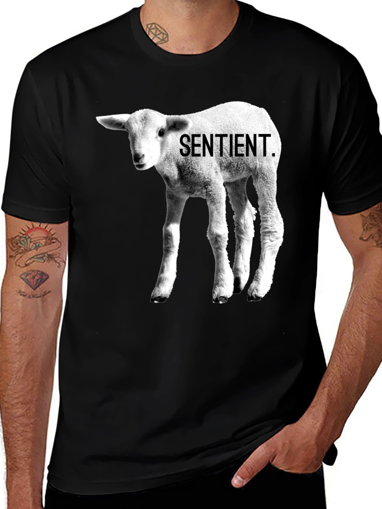 Variant 19 of Sentient Lamb Graphic Tee - Black Cotton T-Shirt
