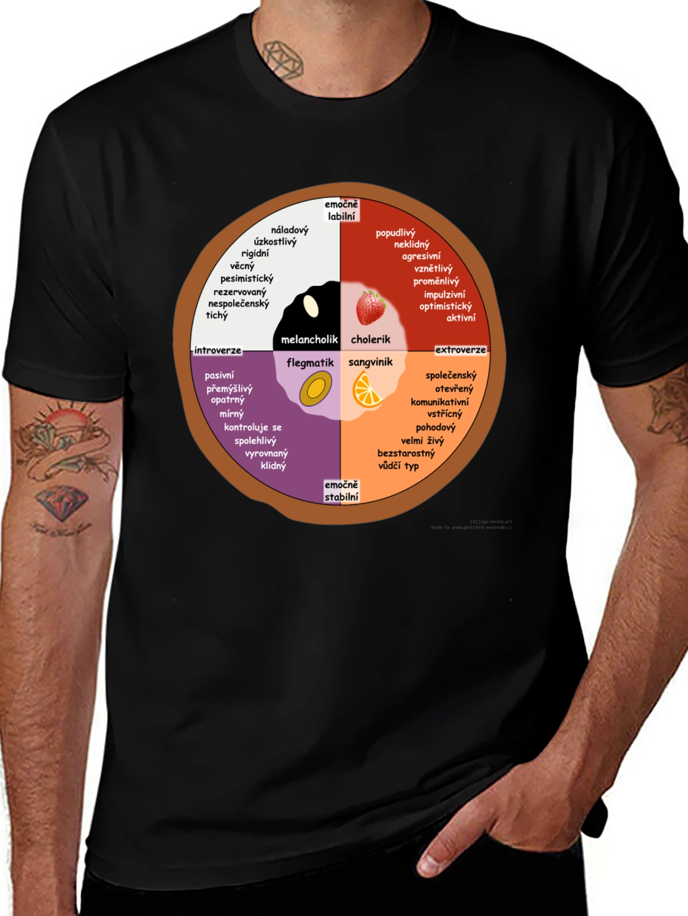 Variant 18 of Personality Wheel T-Shirt - Introvert Extrovert Type