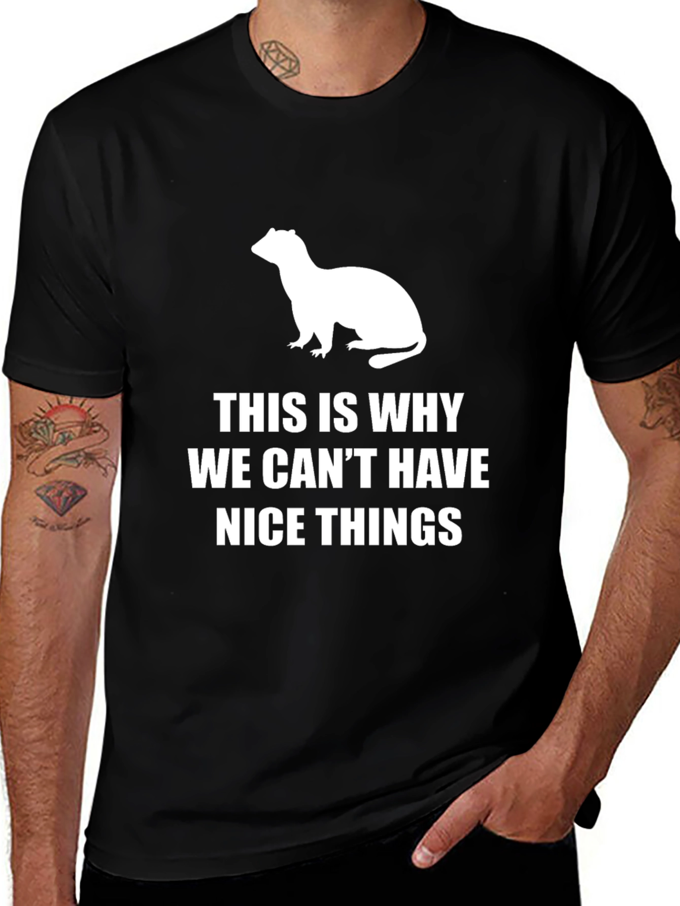 Variant 24 of Ferret Lover T-Shirt - Nice Things Meme Tee