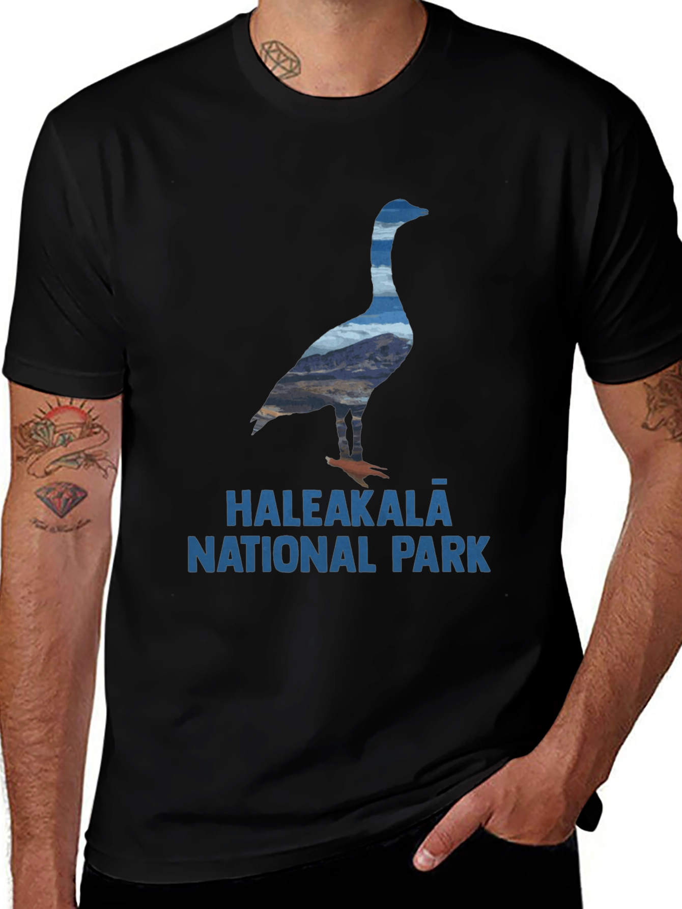Variant 24 of Haleakala National Park Goose T-Shirt