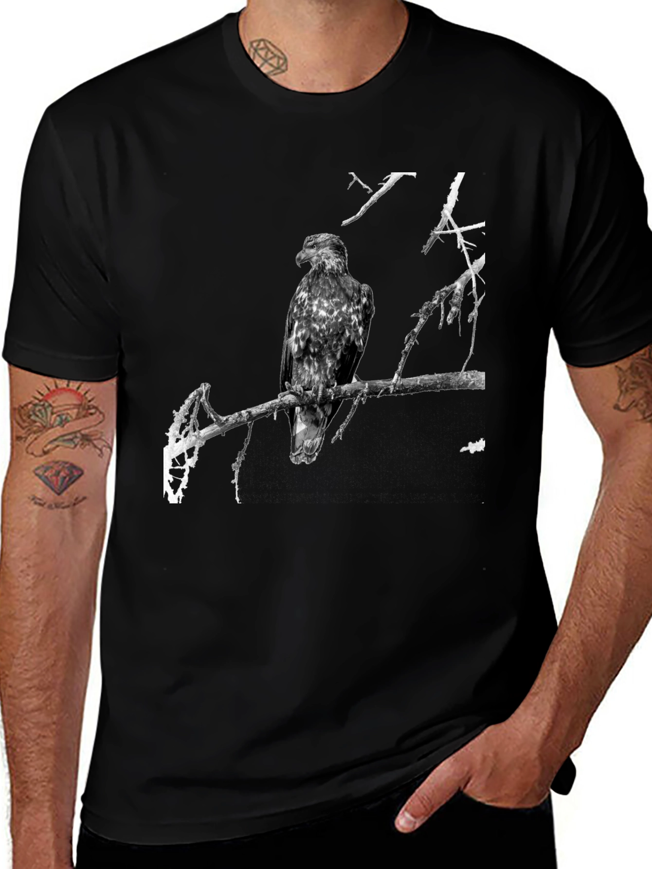 Variant 26 of Eagle Graphic T-Shirt