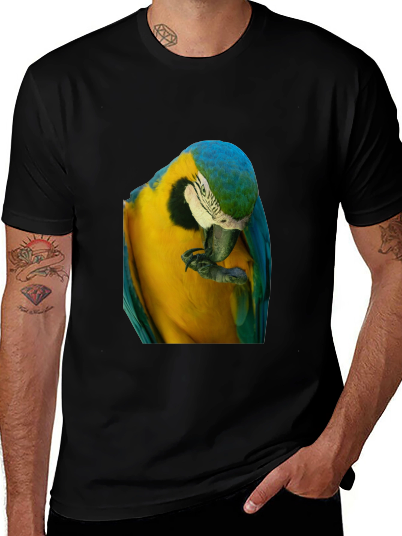 Variant 14 of Parrot Graphic T-Shirt