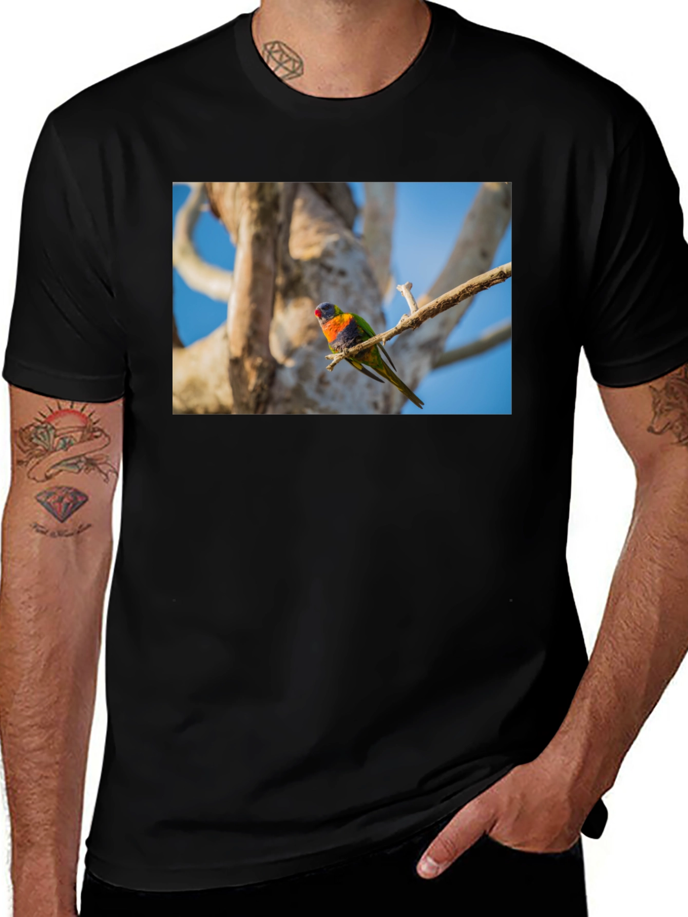 Rainbow Lorikeet Bird Graphic Tee