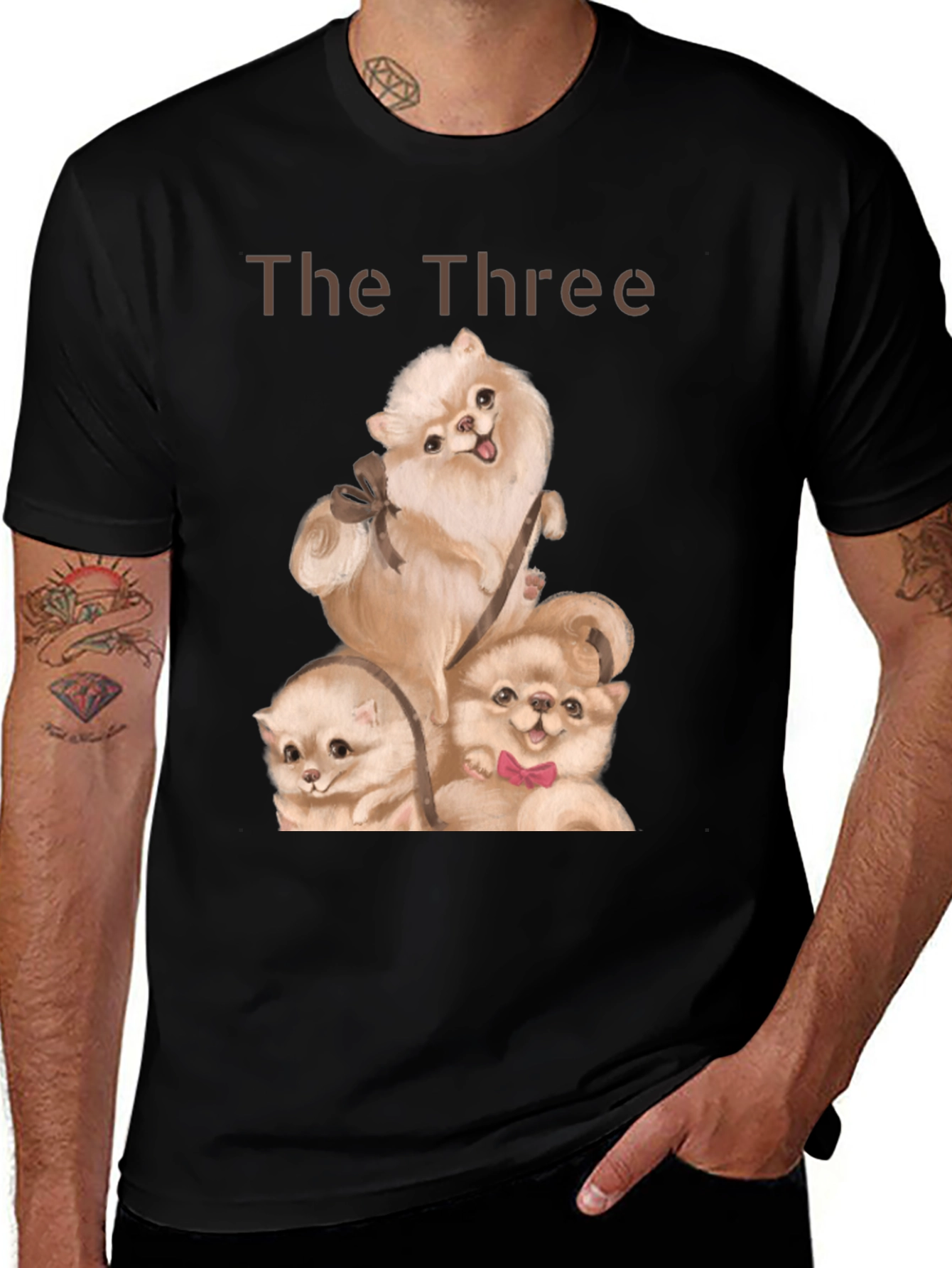 Variant 13 of The Three Pomeranians T-Shirt