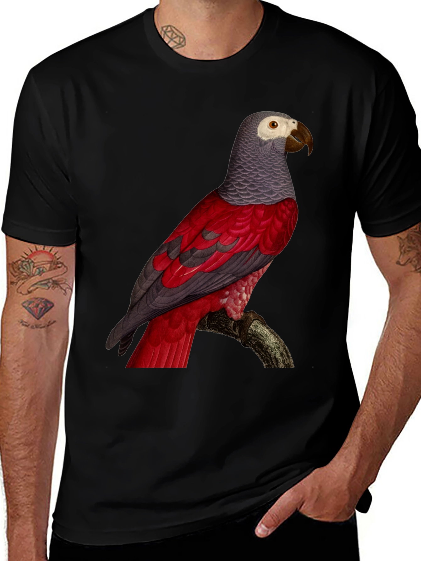 Variant 14 of Parrot Graphic Tee - Unique Bird Design