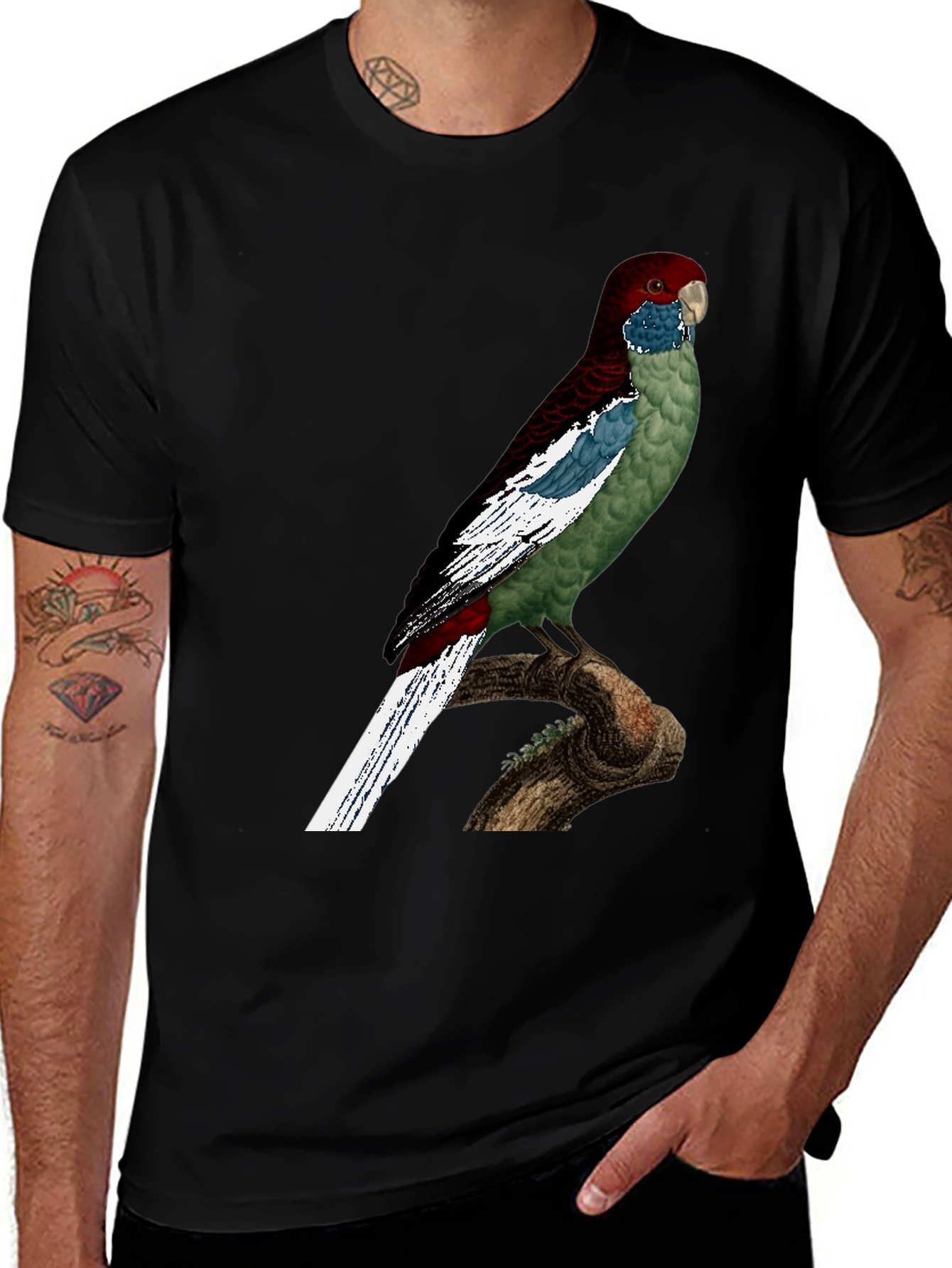 Variant 3 of Parrot Graphic T-Shirt - Unique Bird Design