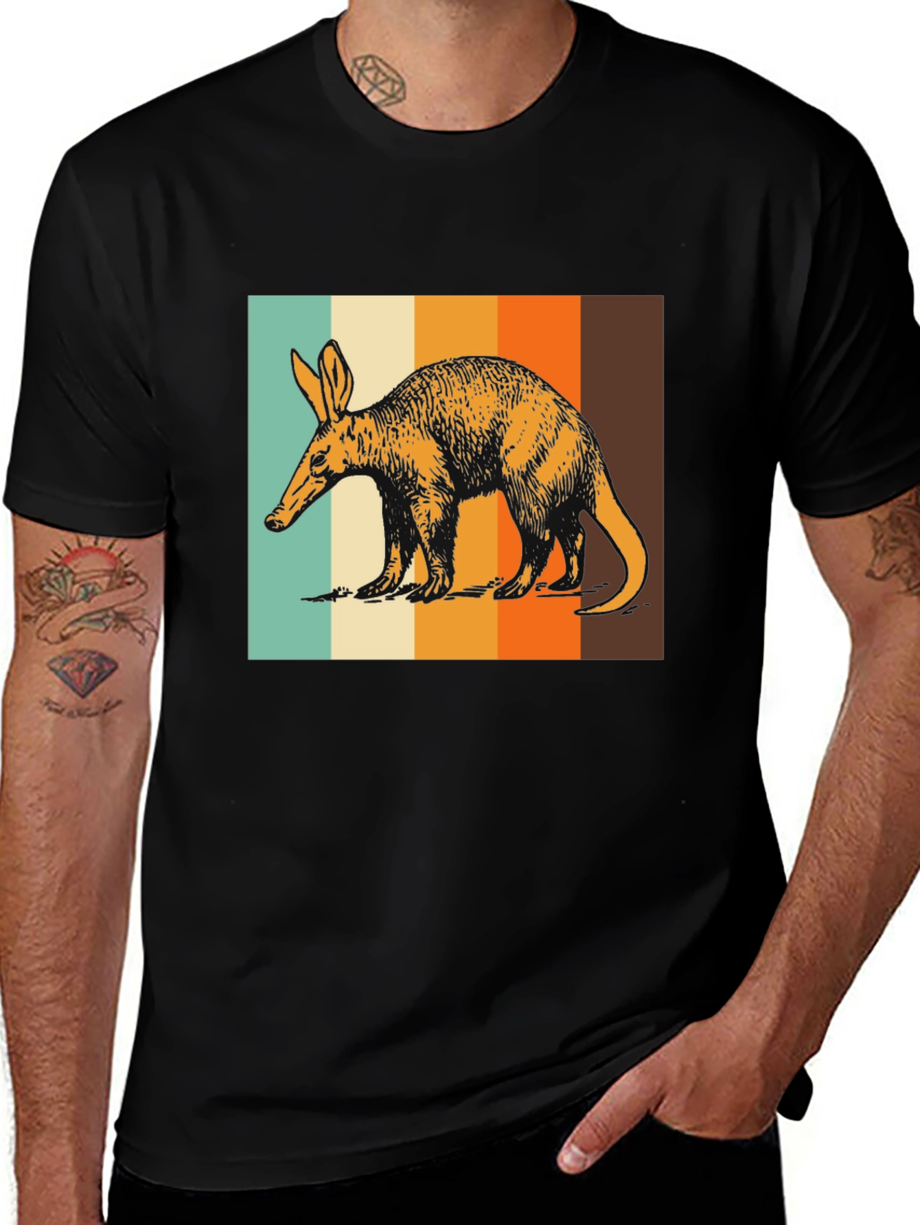 Variant 4 of Aardvark Retro Striped Graphic Tee