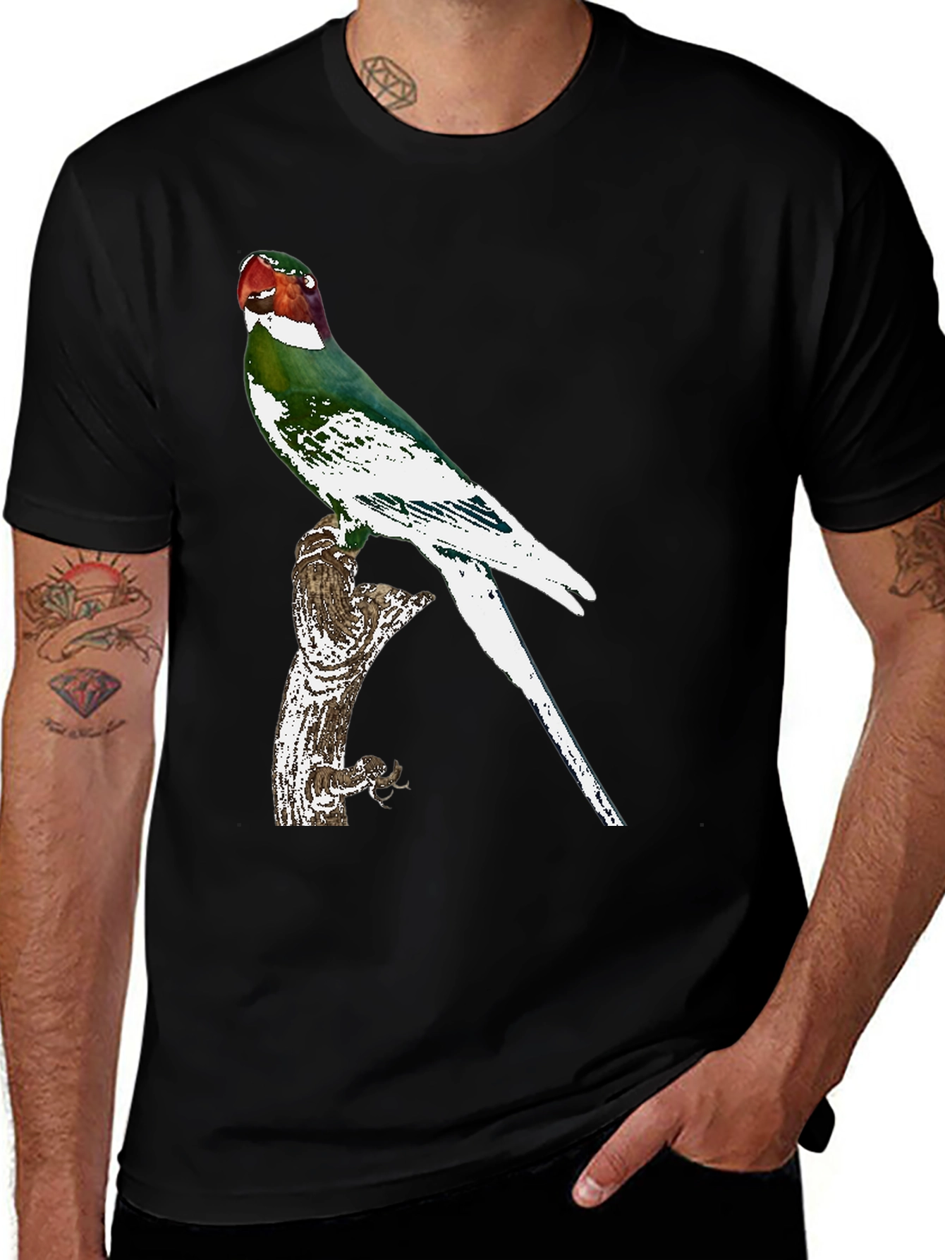Variant 16 of Parrot Graphic Tee - Black Cotton T-Shirt