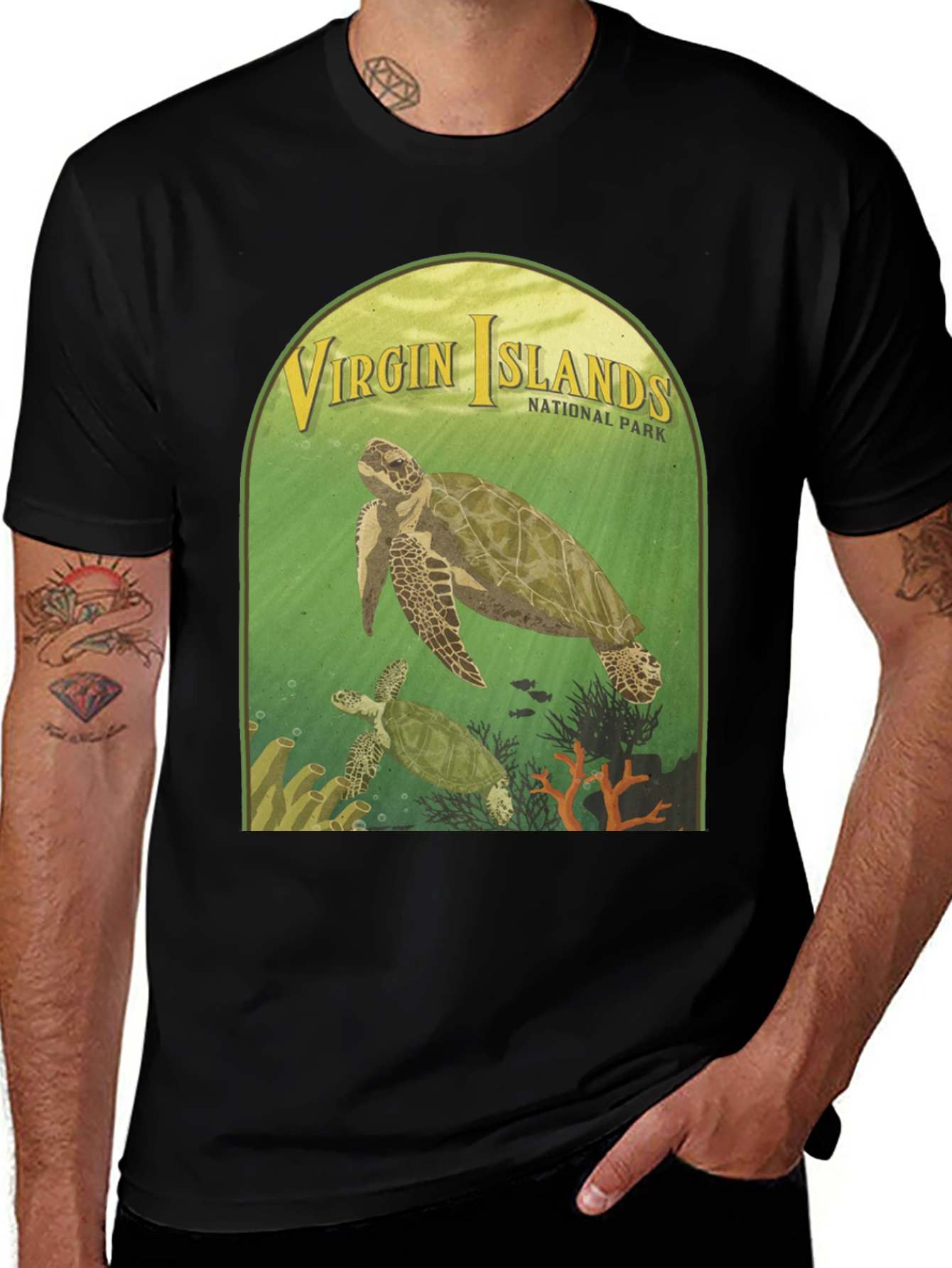 Virgin Islands National Park Turtle T-Shirt