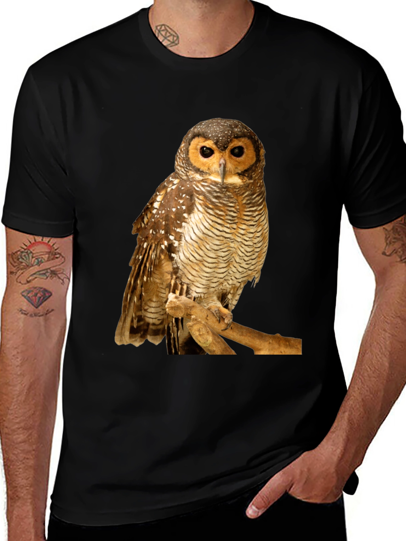 Variant 29 of Owl Graphic Black T-Shirt
