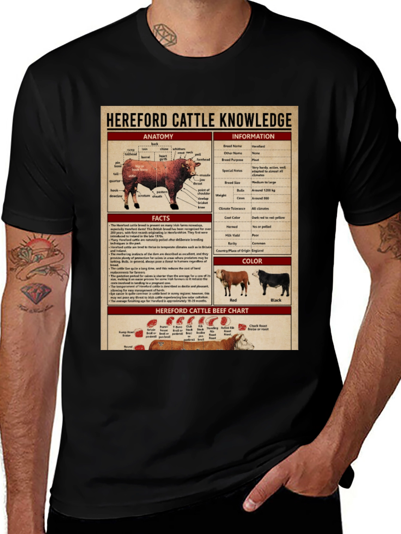 Hereford Cattle Knowledge T-Shirt