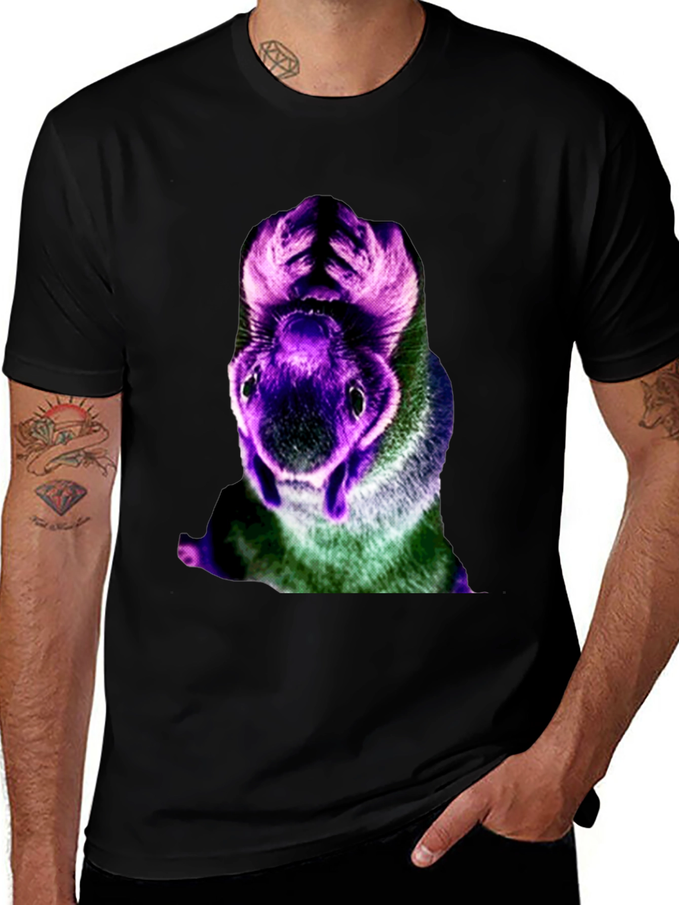 Variant 6 of Men's Black T-Shirt with Colorful Rabbit Graphic