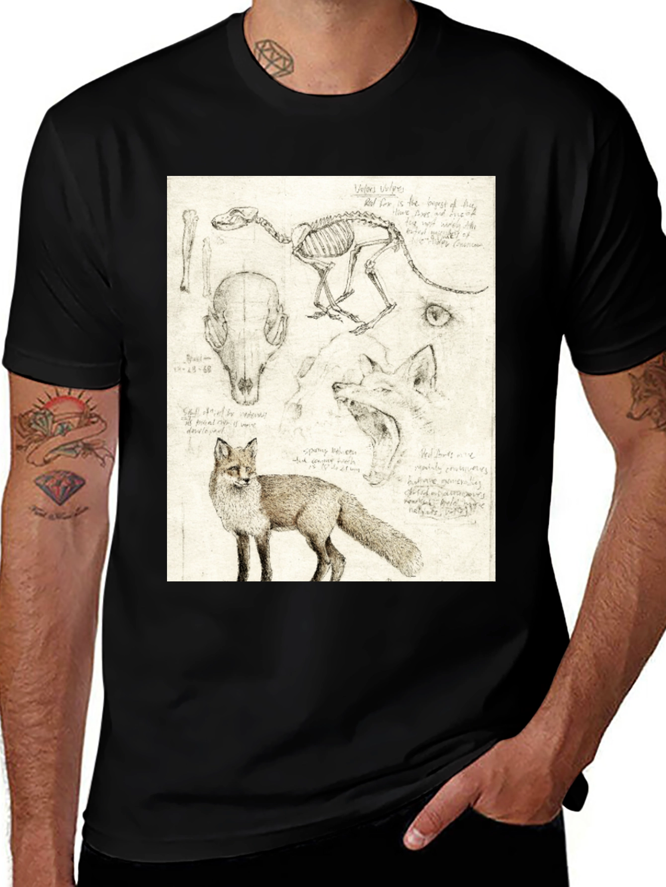 Variant 23 of Anatomical Fox Print Tee - Artistic Unisex T-Shirt