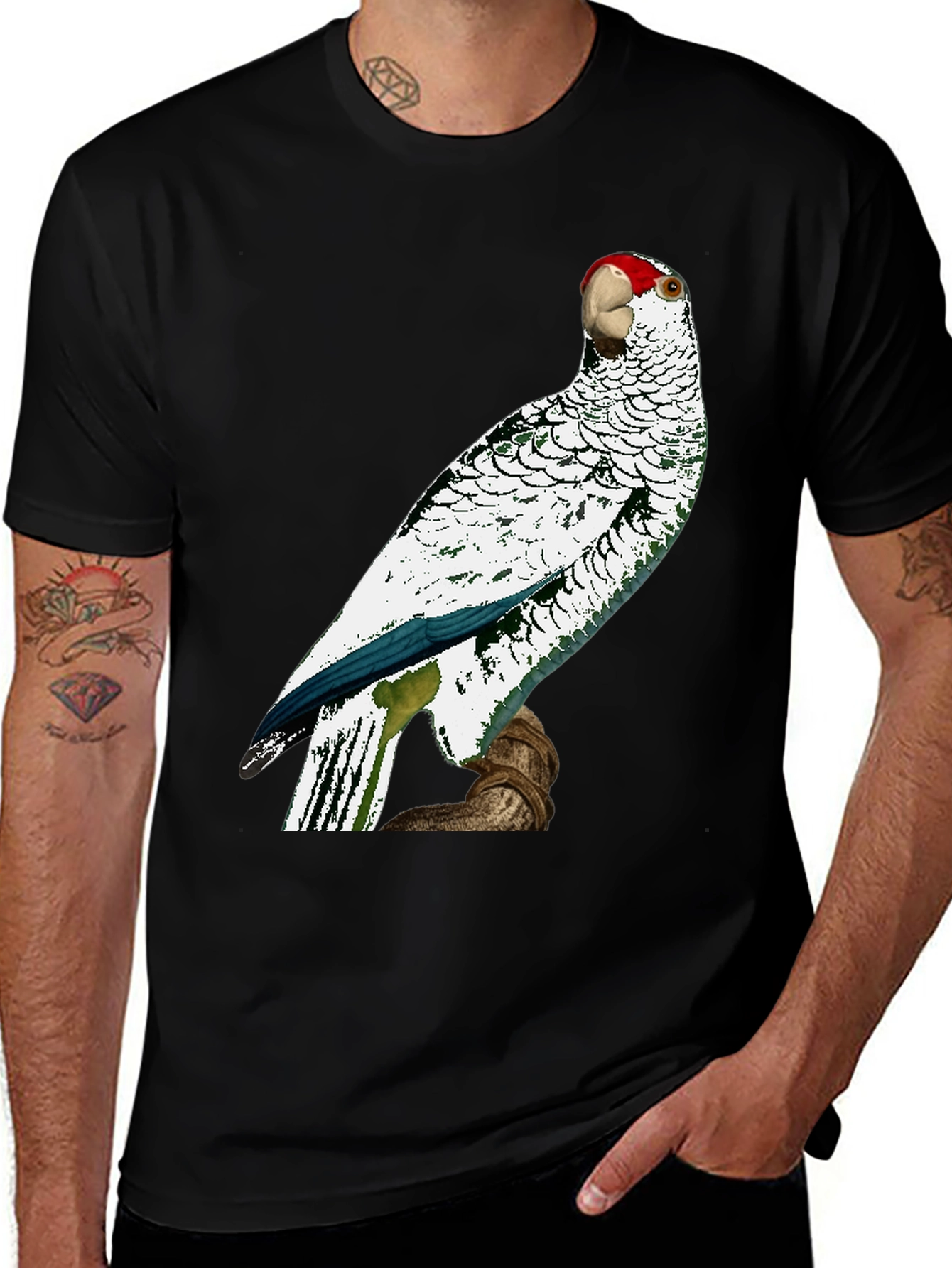 Variant 26 of Parrot Graphic Tee - Unique Bird Design