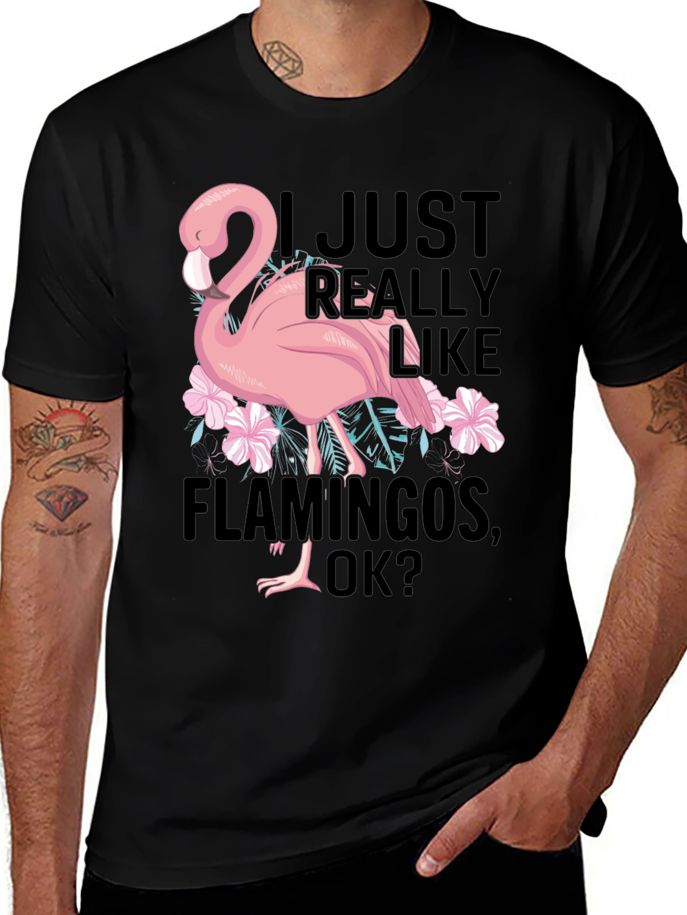 Variant 3 of Funny Flamingo Graphic T-Shirt - I Just Really Like Flamingos