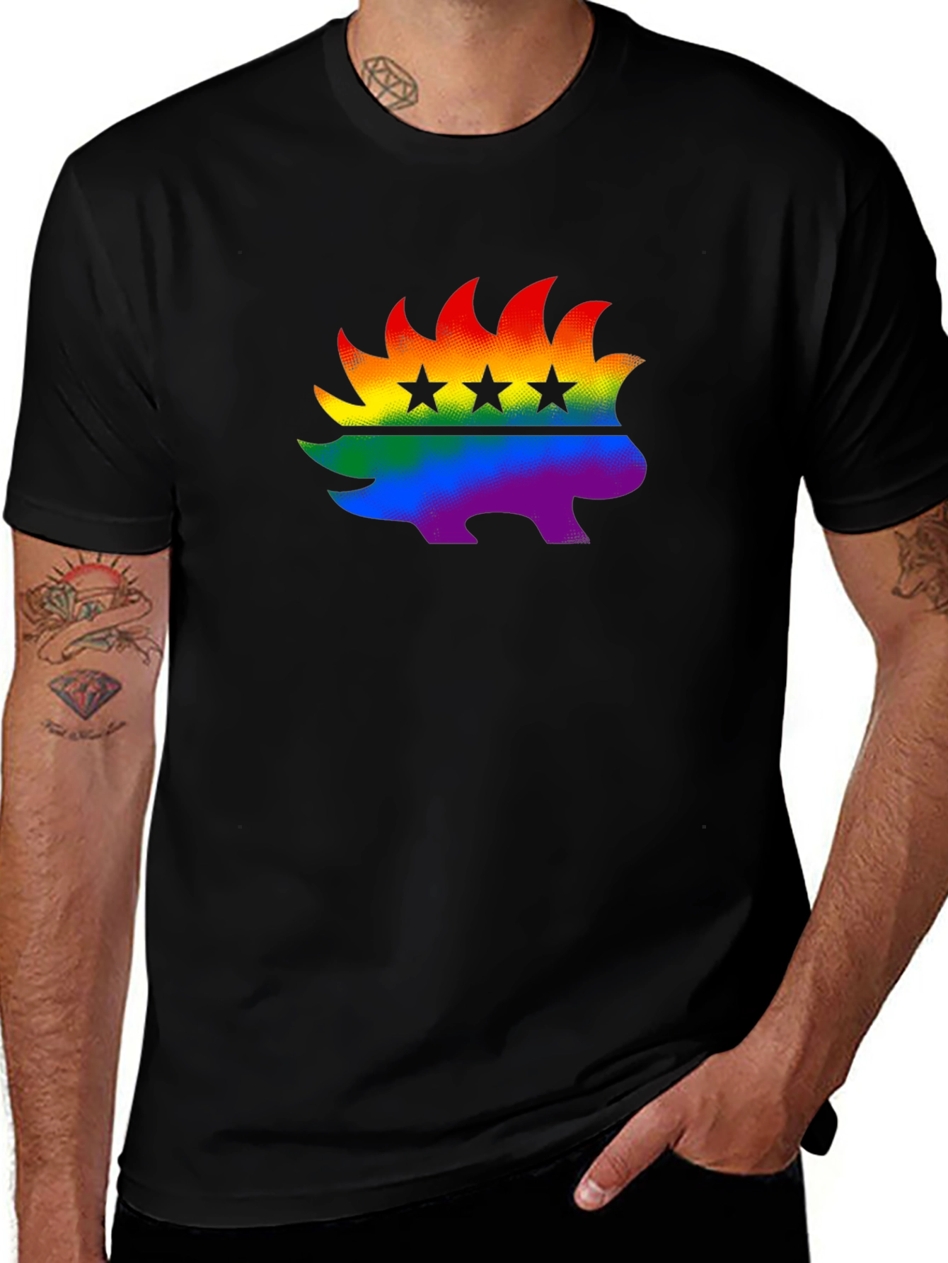 Variant 23 of Rainbow Libertarian Porcupine T-Shirt