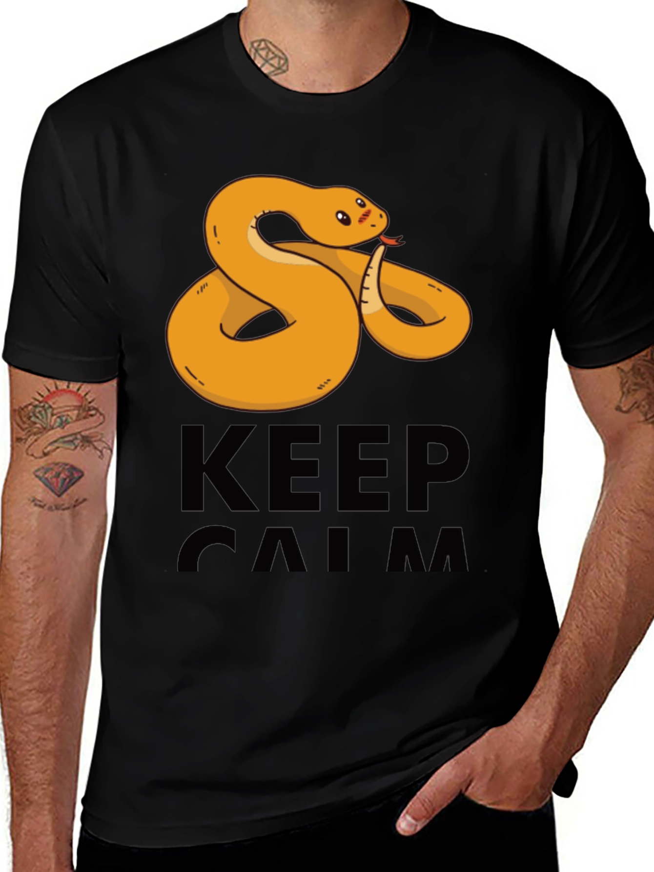 Variant 19 of Funny Snake Keep Calm Men's T-Shirt