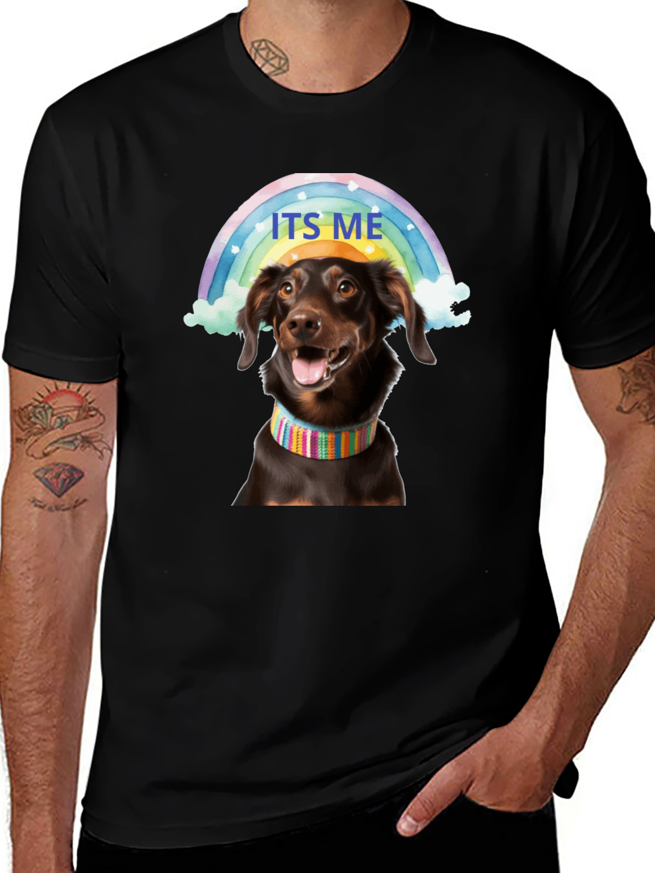 Variant 19 of Rainbow Dachshund T-Shirt - Its Me!