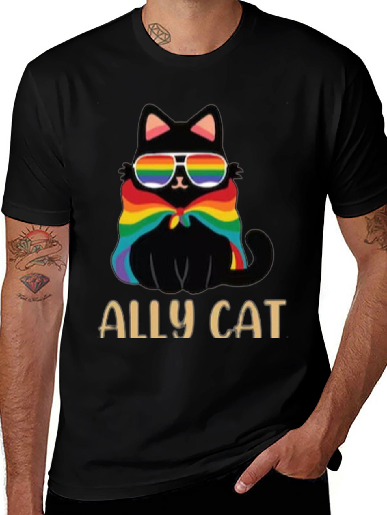 Variant 21 of Ally Cat Pride T-Shirt
