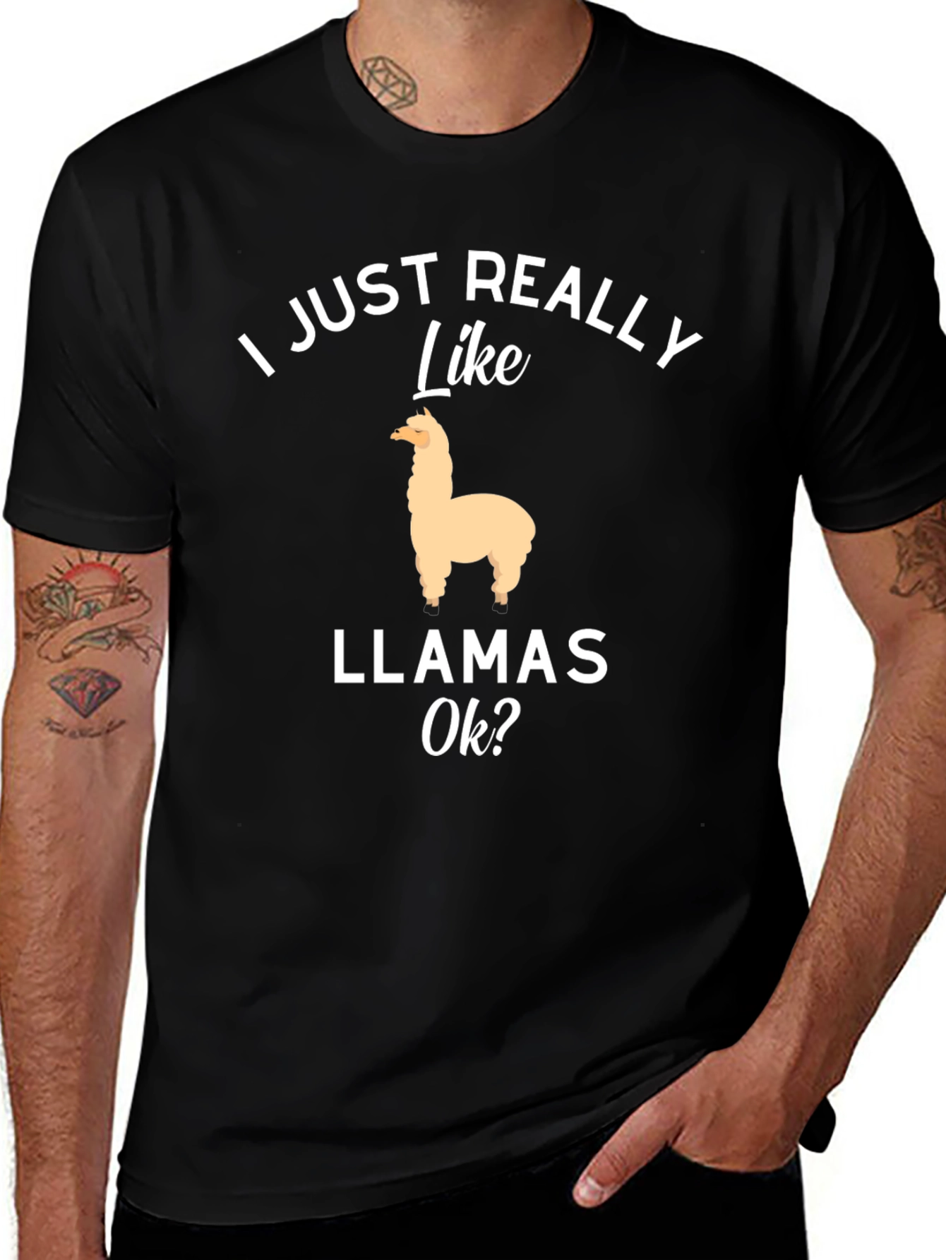 Variant 9 of I Just Really Like Llamas Ok? T-Shirt