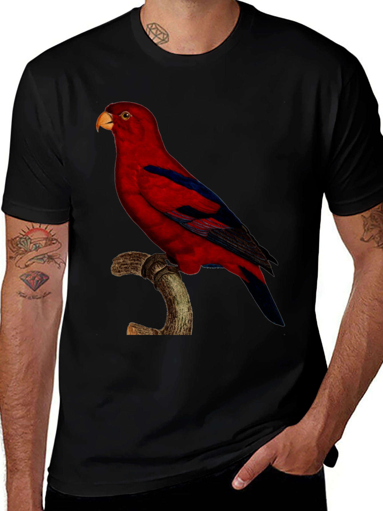Variant 9 of Red Parrot Graphic Tee - Stylish Men's Black T-Shirt