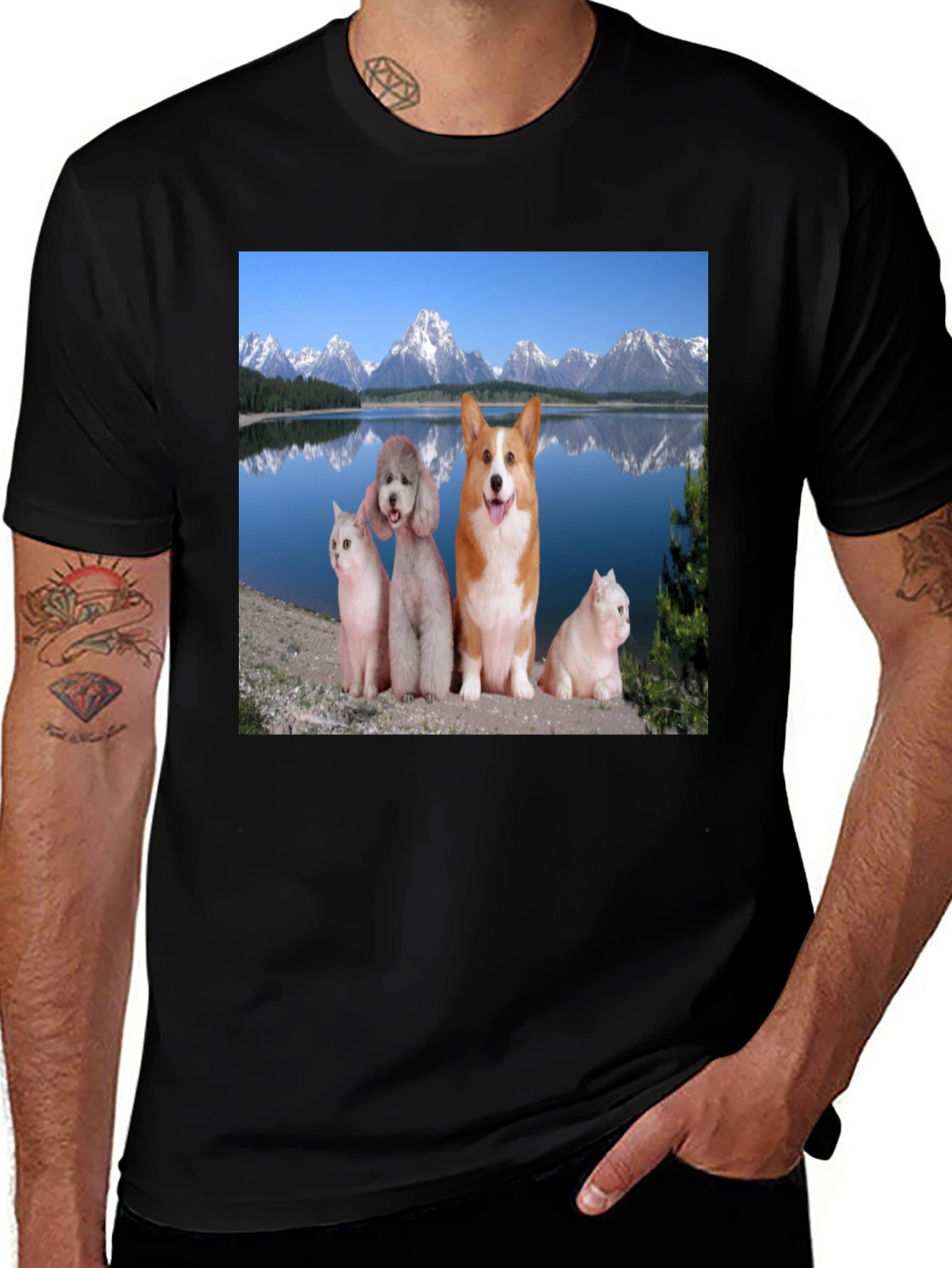 Variant 19 of Scenic Pets Black T-Shirt