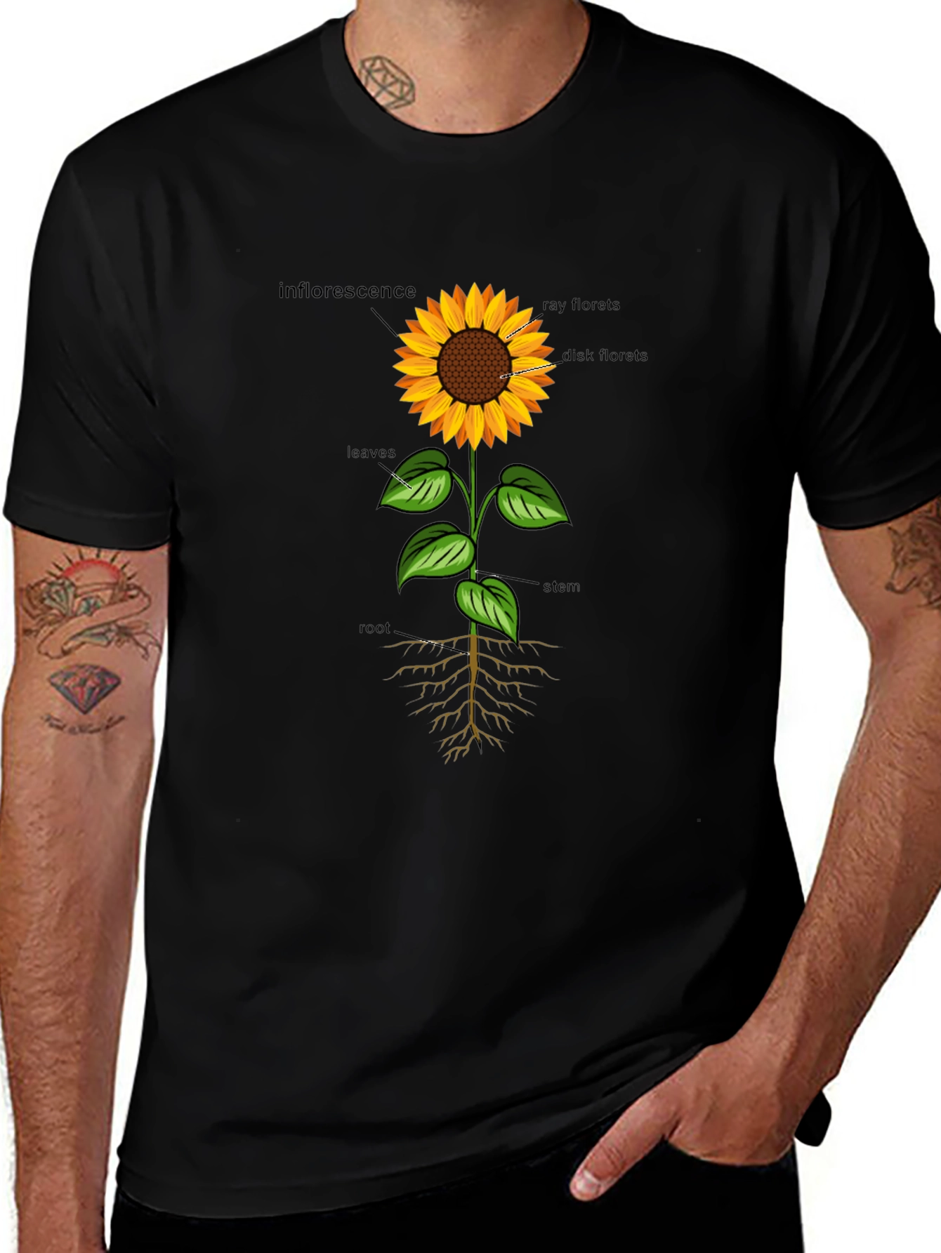 Sunflower Anatomy T-Shirt - Botanical Graphic Tee
