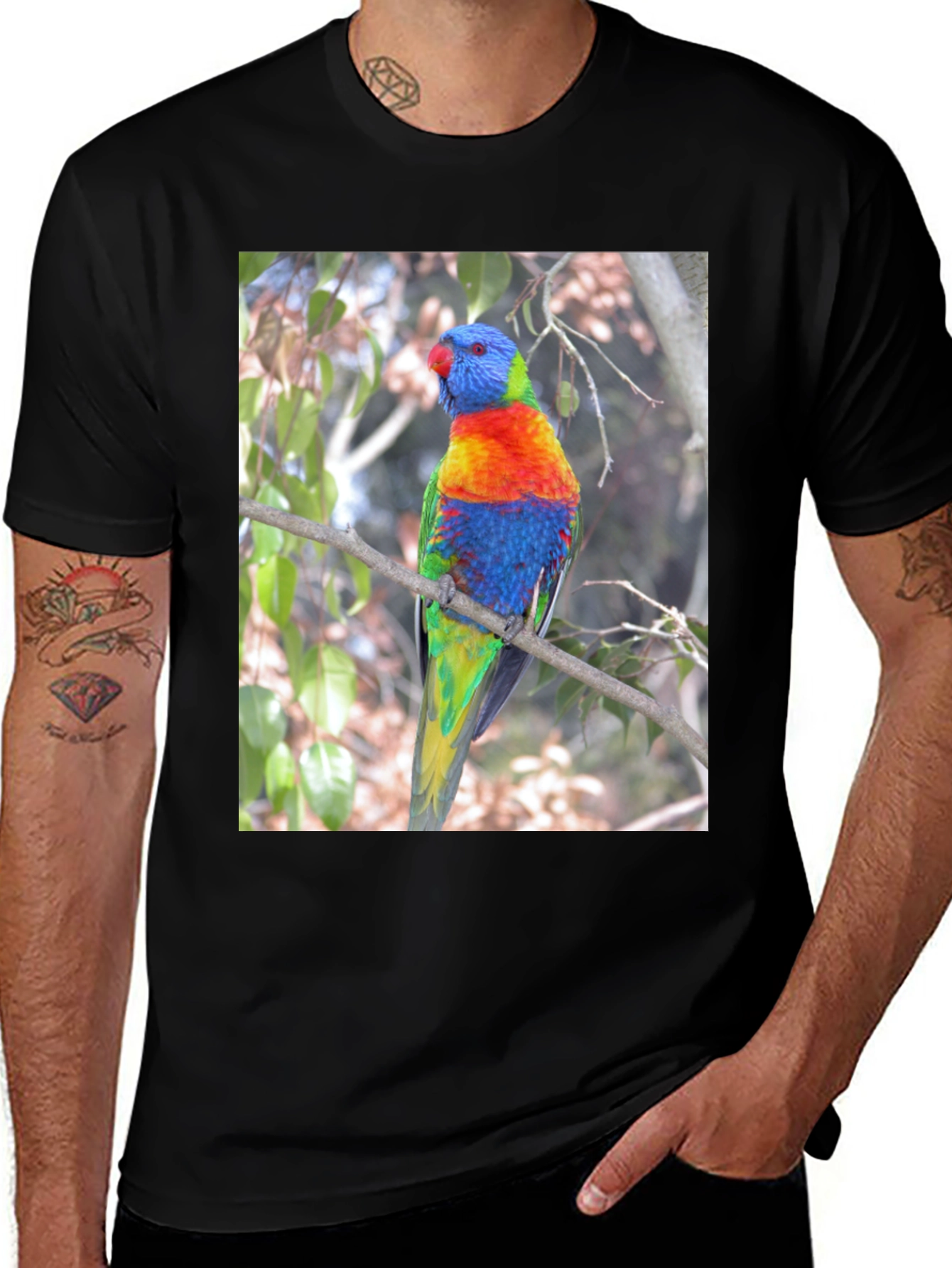 Rainbow Lorikeet Parrot Graphic Tee - Vivid Bird Design