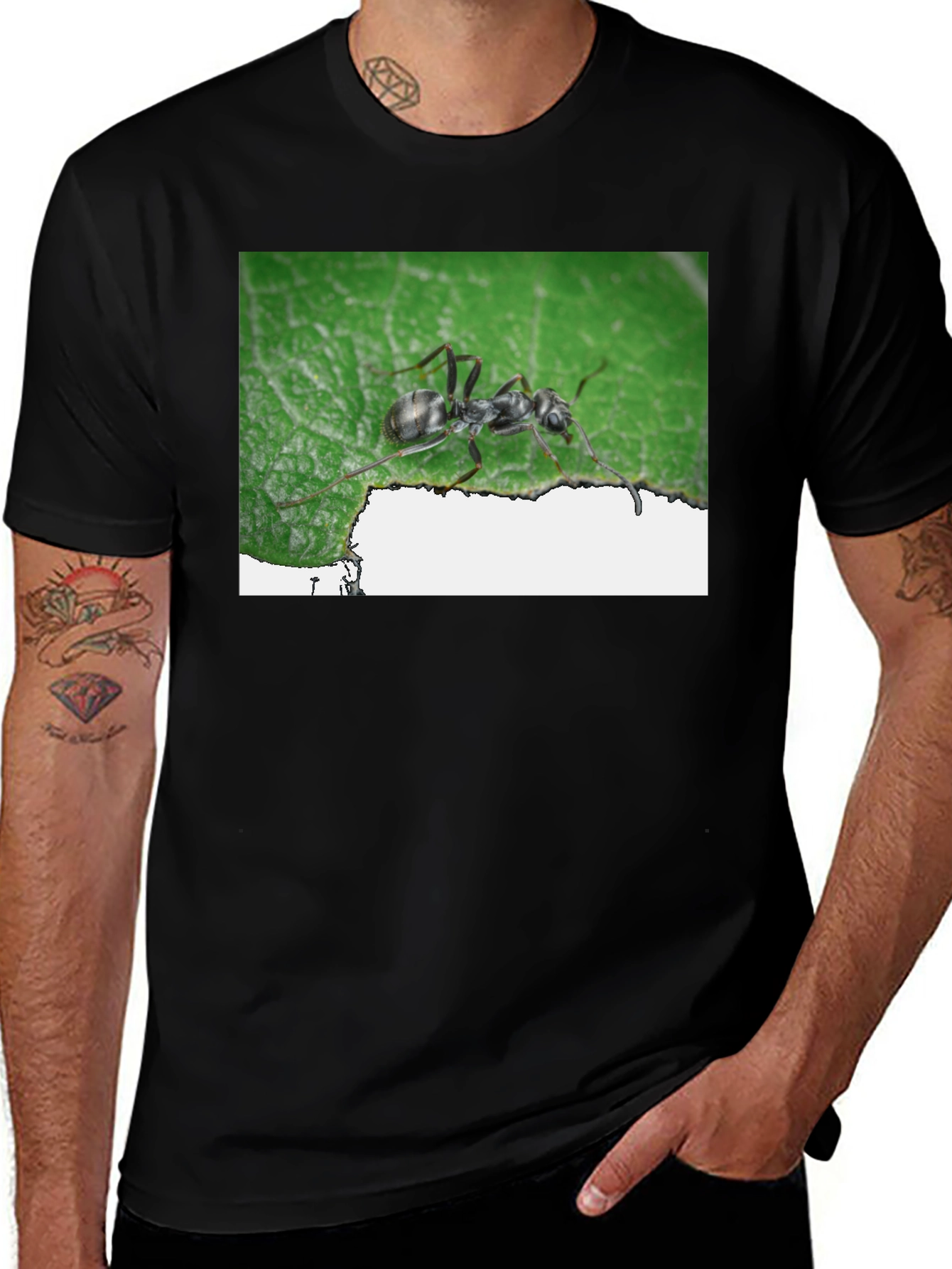 Variant 10 of Ant on Leaf Graphic Tee - Unique Design