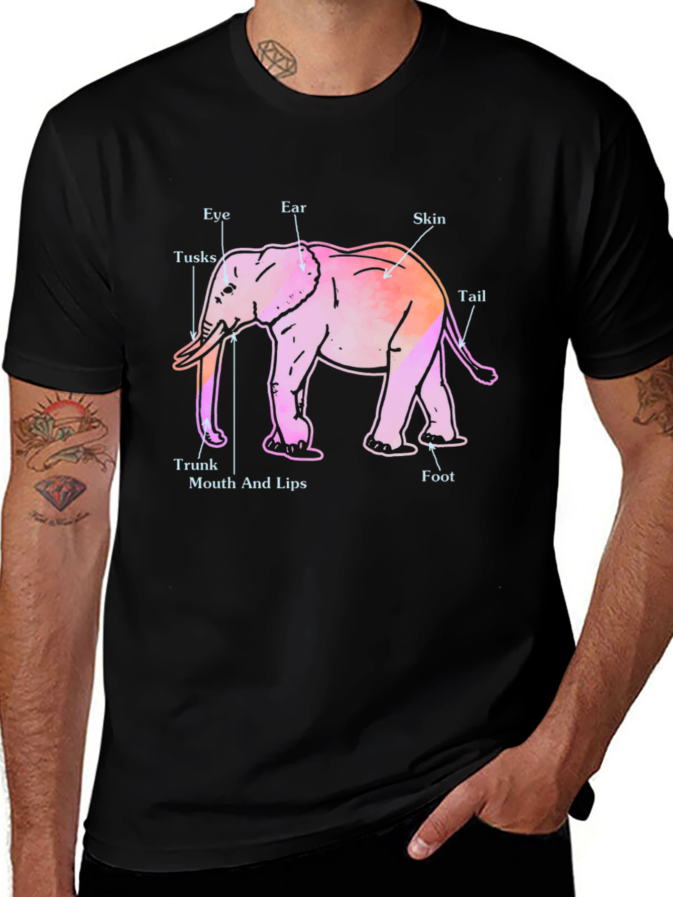 Variant 26 of Elephant Anatomy T-Shirt - Black Crew Neck Tee
