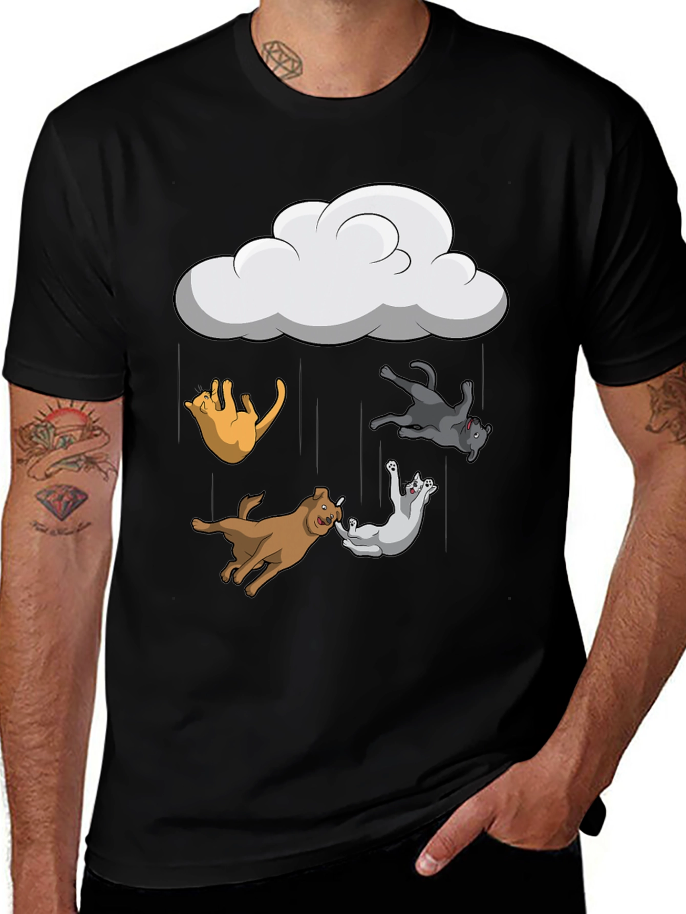 Variant 5 of Rain Dogs and Cats T-Shirt