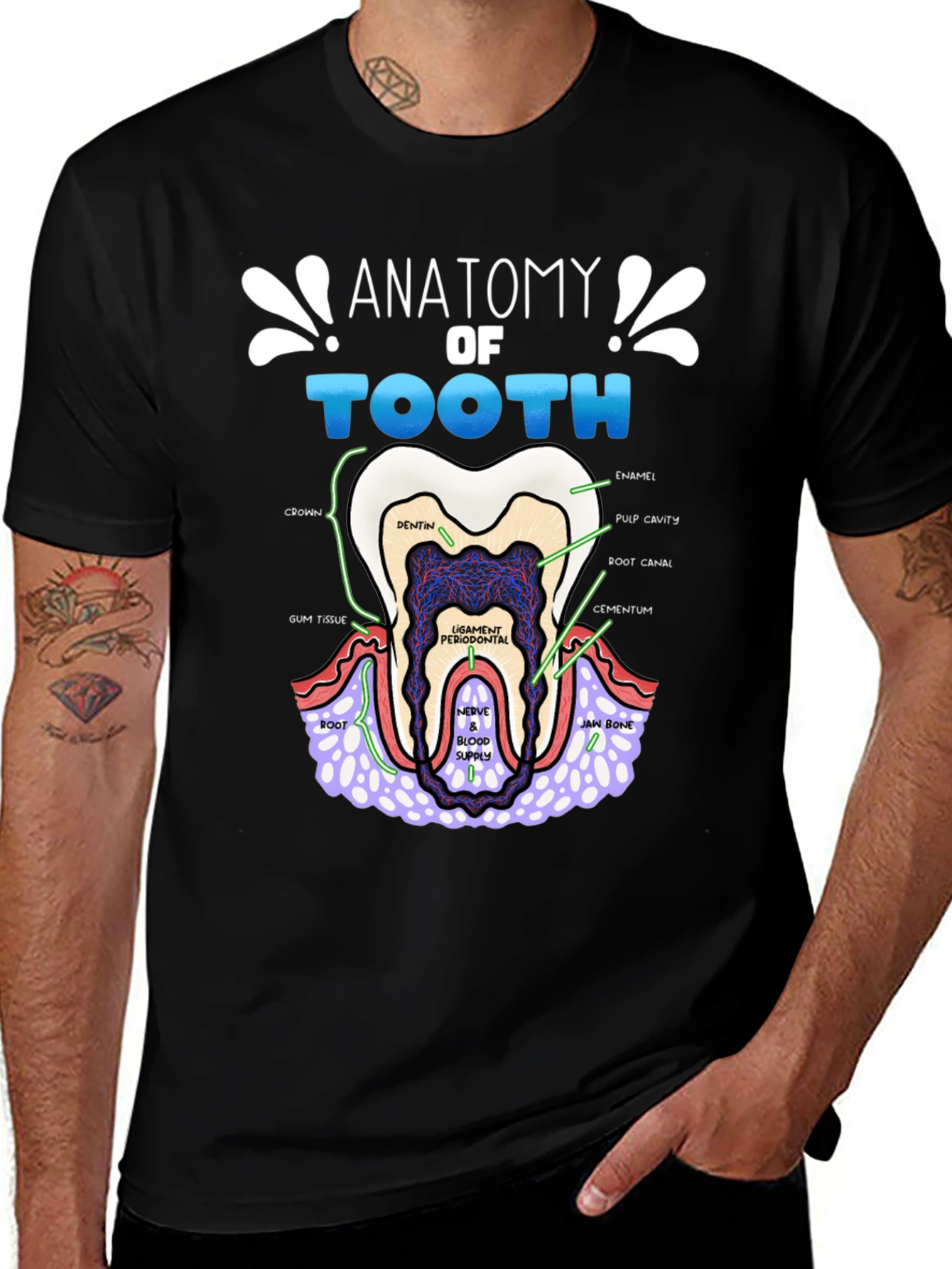 Variant 26 of Anatomy of a Tooth T-Shirt