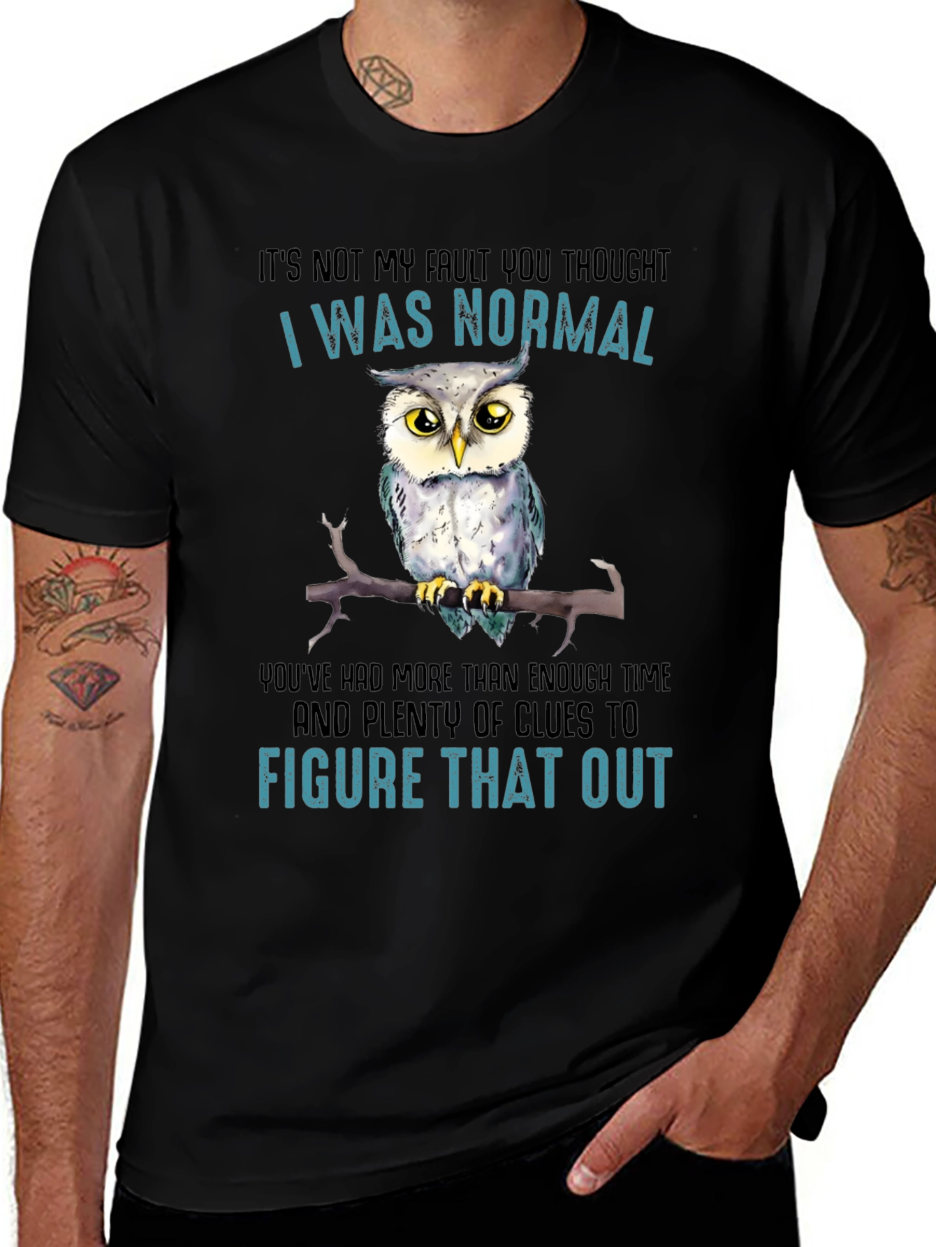Variant 25 of It's Not My Fault Owl T-Shirt