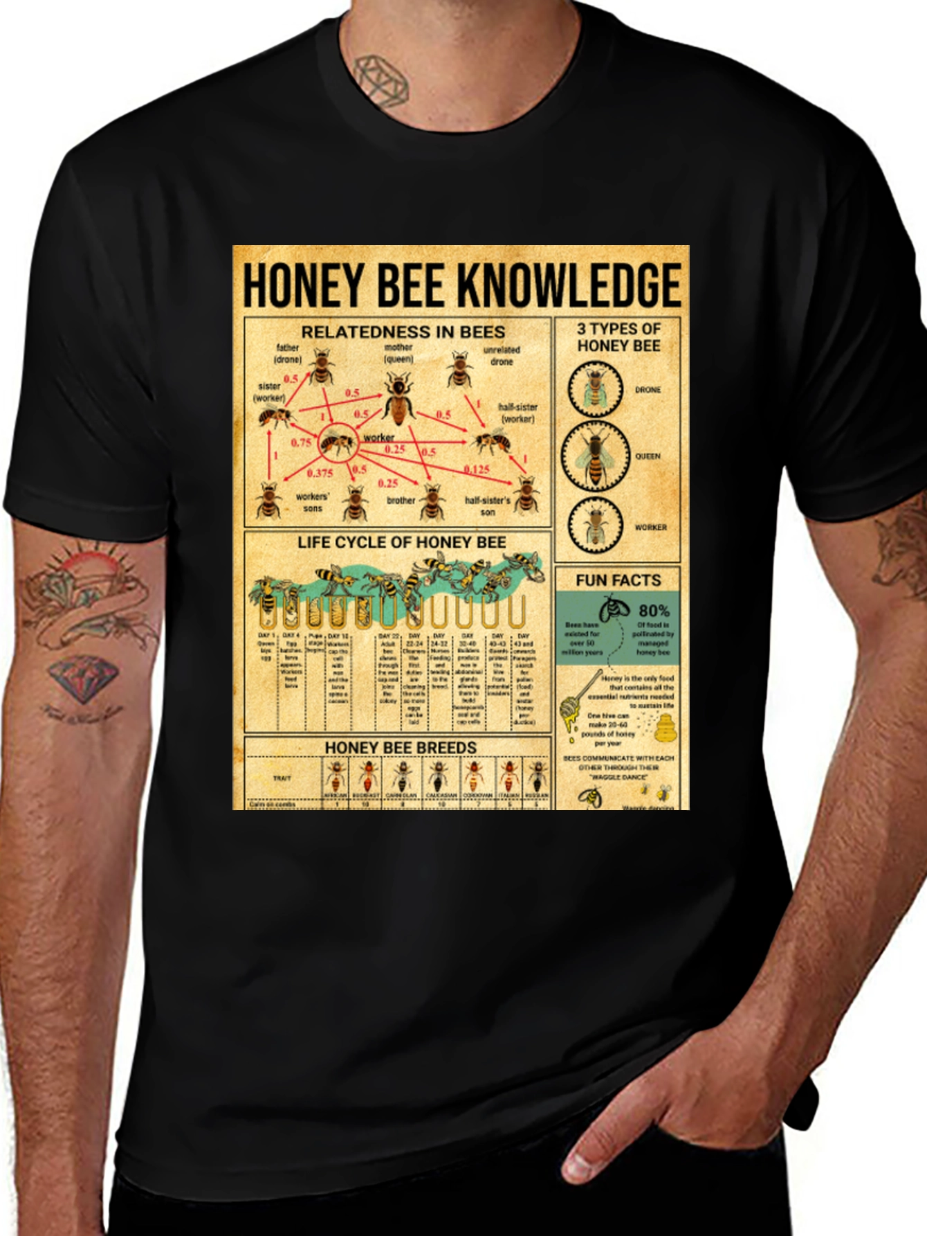 Variant 15 of Honey Bee Knowledge Graphic T-Shirt