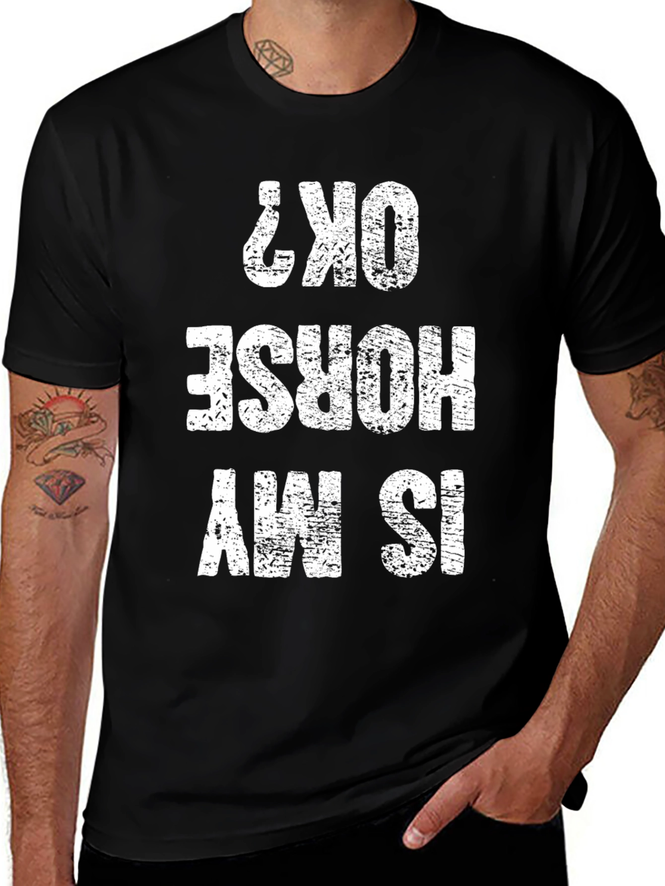 Variant 2 of Is My Horse OK? Graphic Novelty Tee