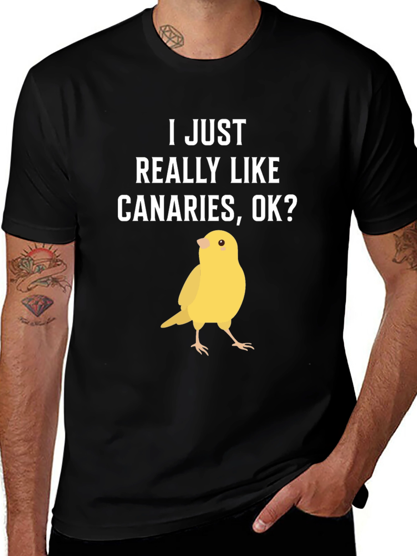 Variant 4 of Canary Lover Graphic T-Shirt - Bird Humor Tee