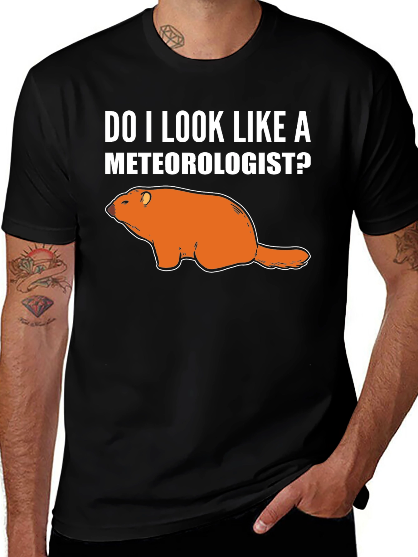 Variant 14 of Funny Meteorologist T-Shirt - Groundhog Design