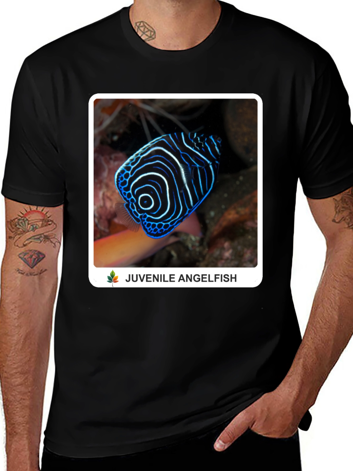 Variant 27 of Juvenile Angelfish Graphic T-Shirt